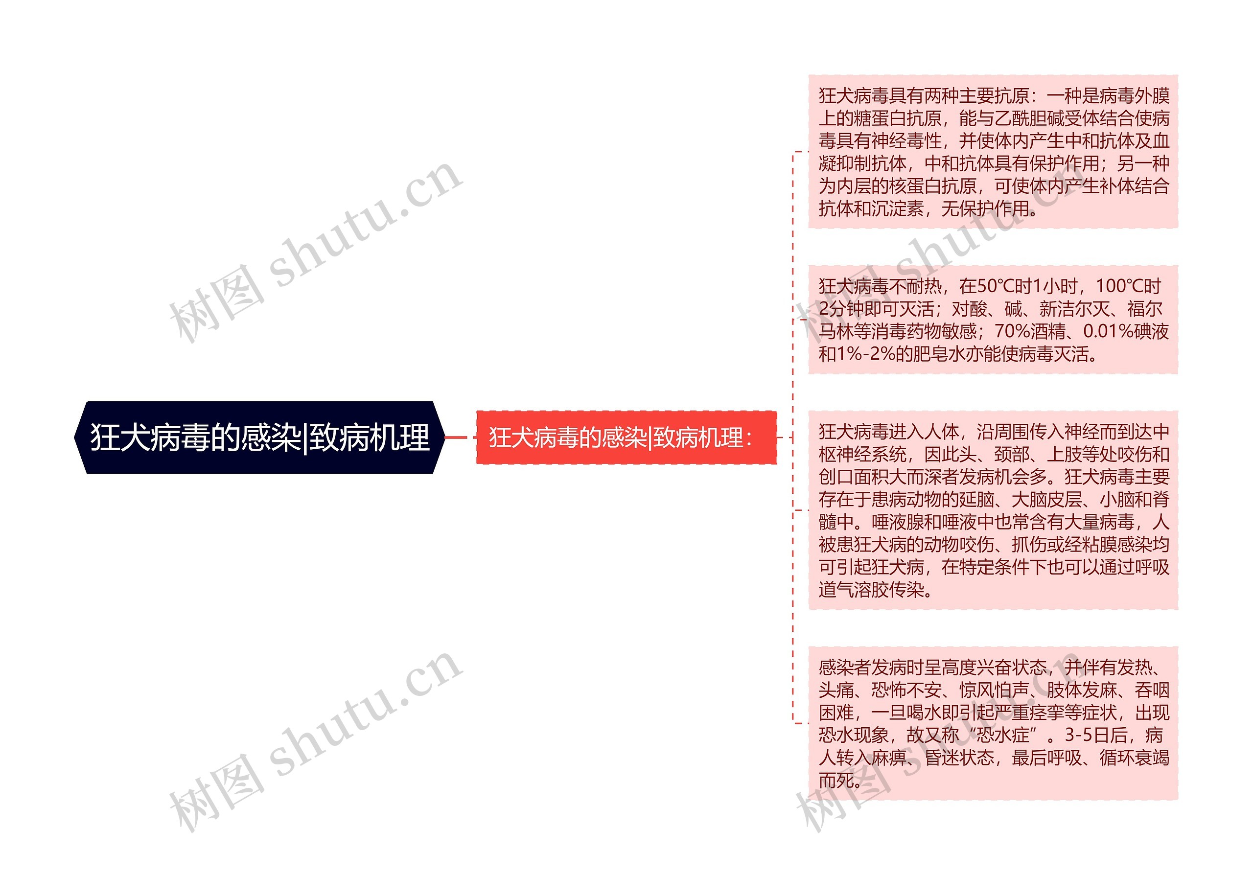 狂犬病毒的感染|致病机理思维导图