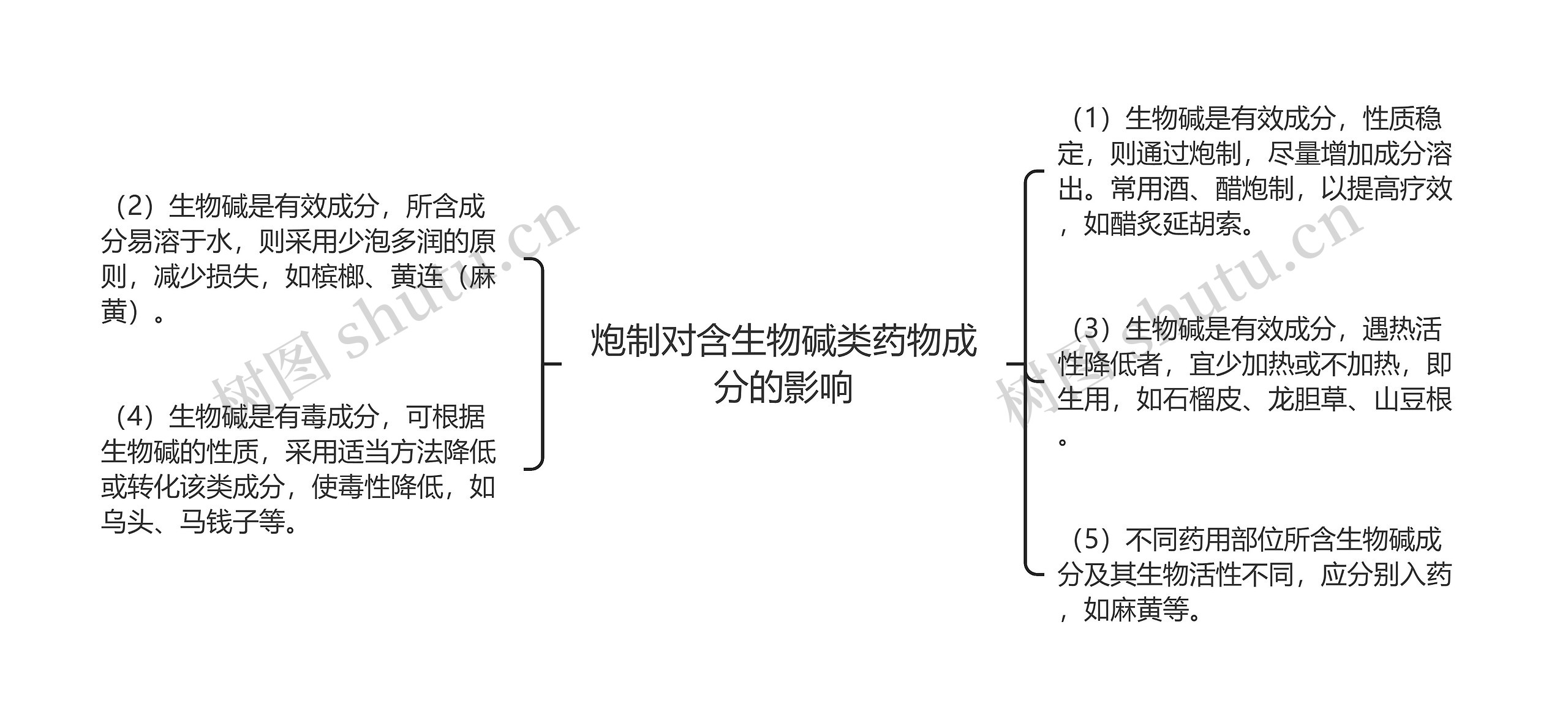 炮制对含生物碱类药物成分的影响思维导图