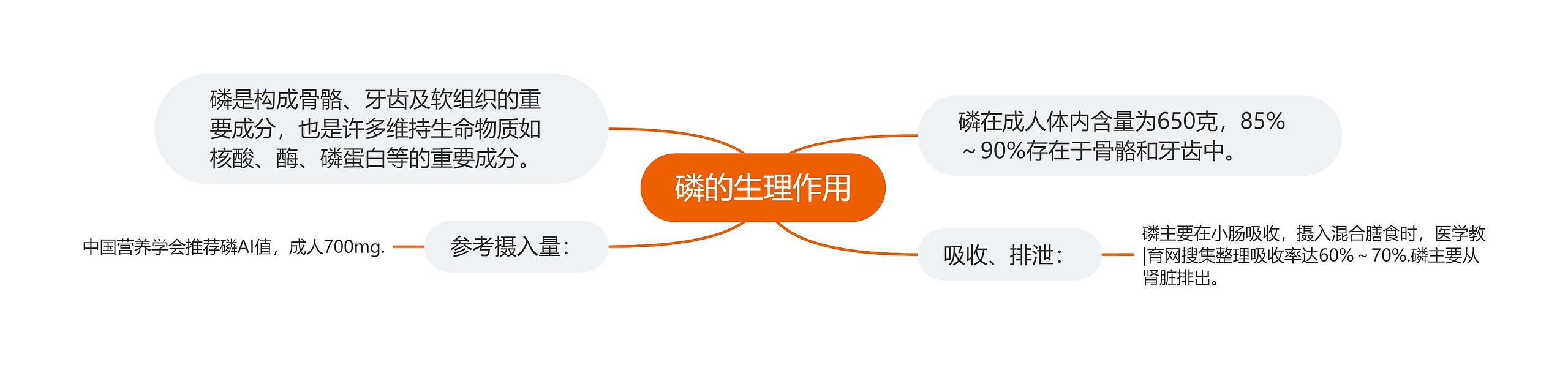 磷的生理作用 磷的生理作用