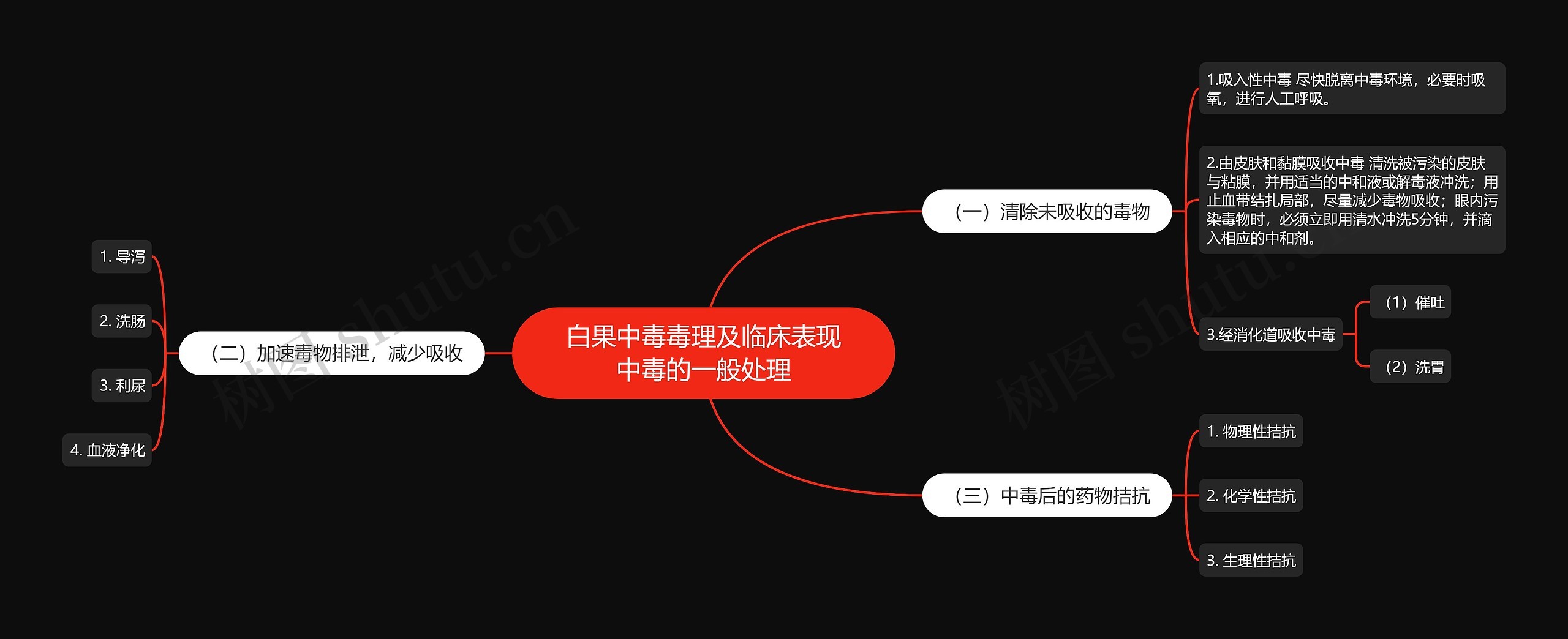 白果中毒毒理及临床表现中毒的一般处理