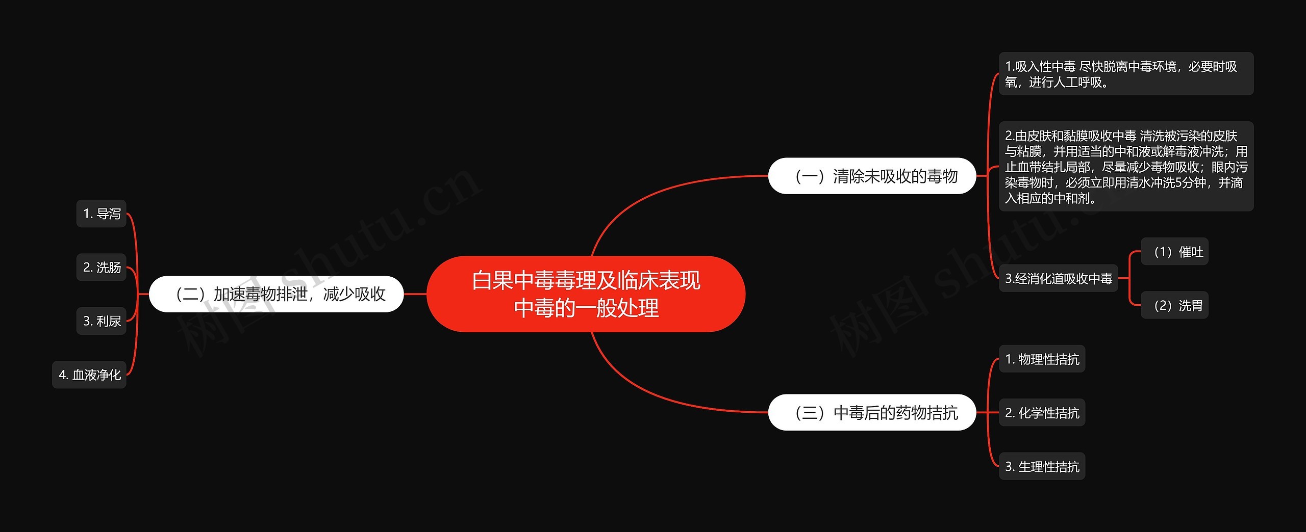 白果中毒毒理及临床表现中毒的一般处理思维导图