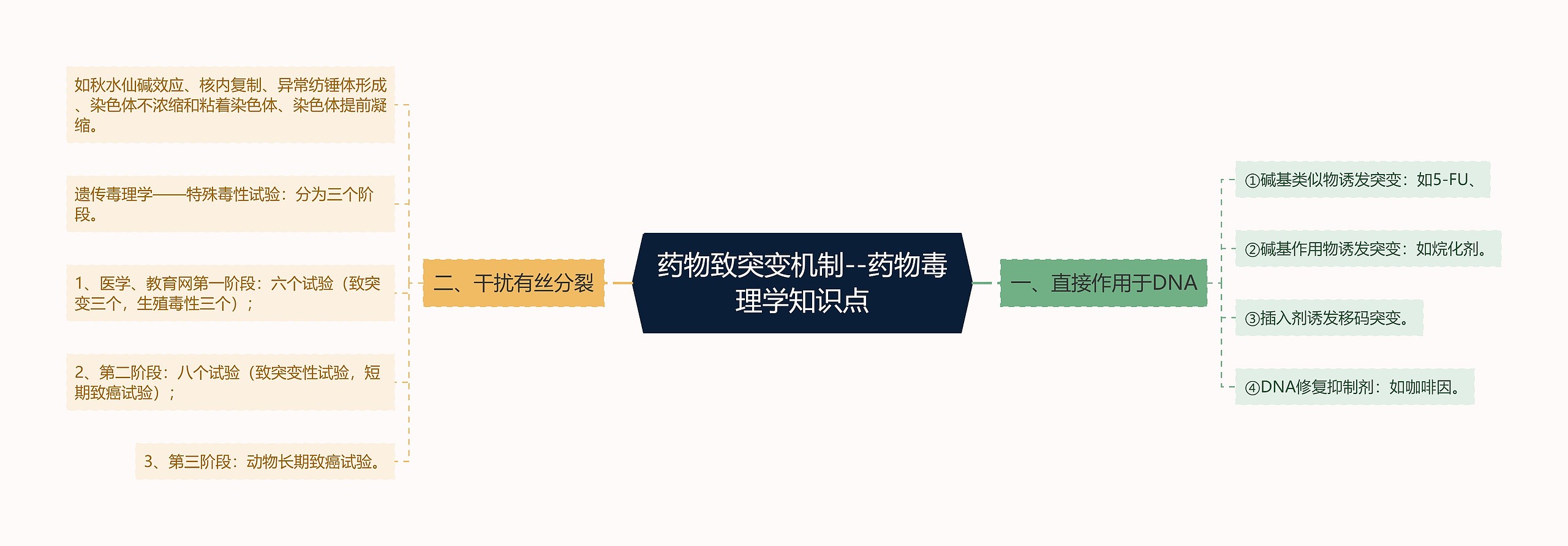 药物致突变机制--药物毒理学知识点思维导图