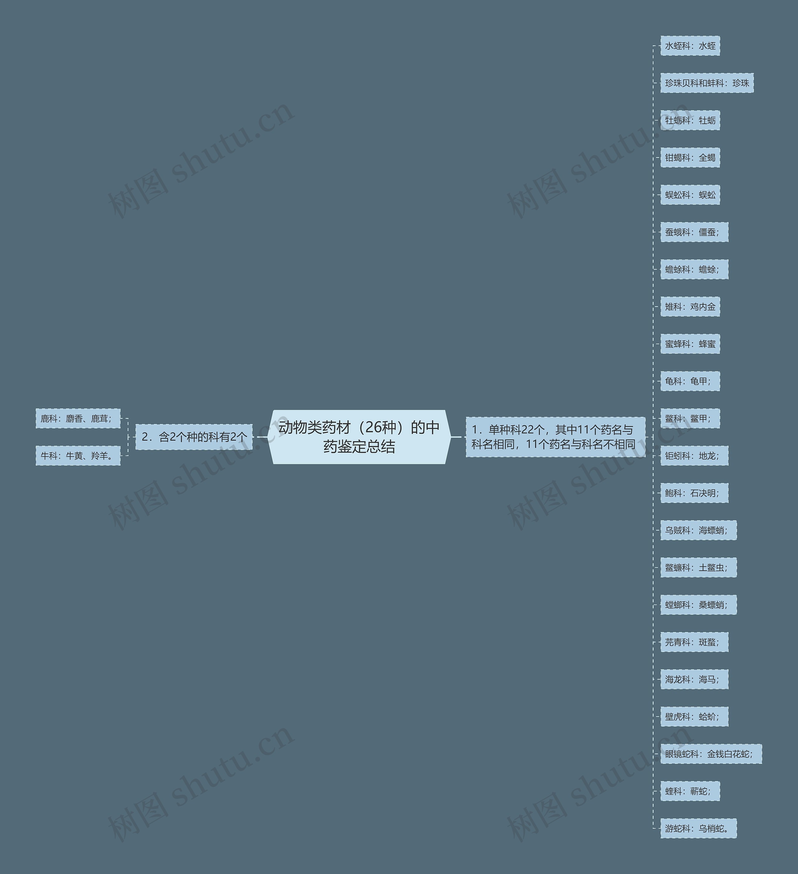 动物类药材(26种)的中药鉴定总结 动物类药材(26种)的中药鉴定总结