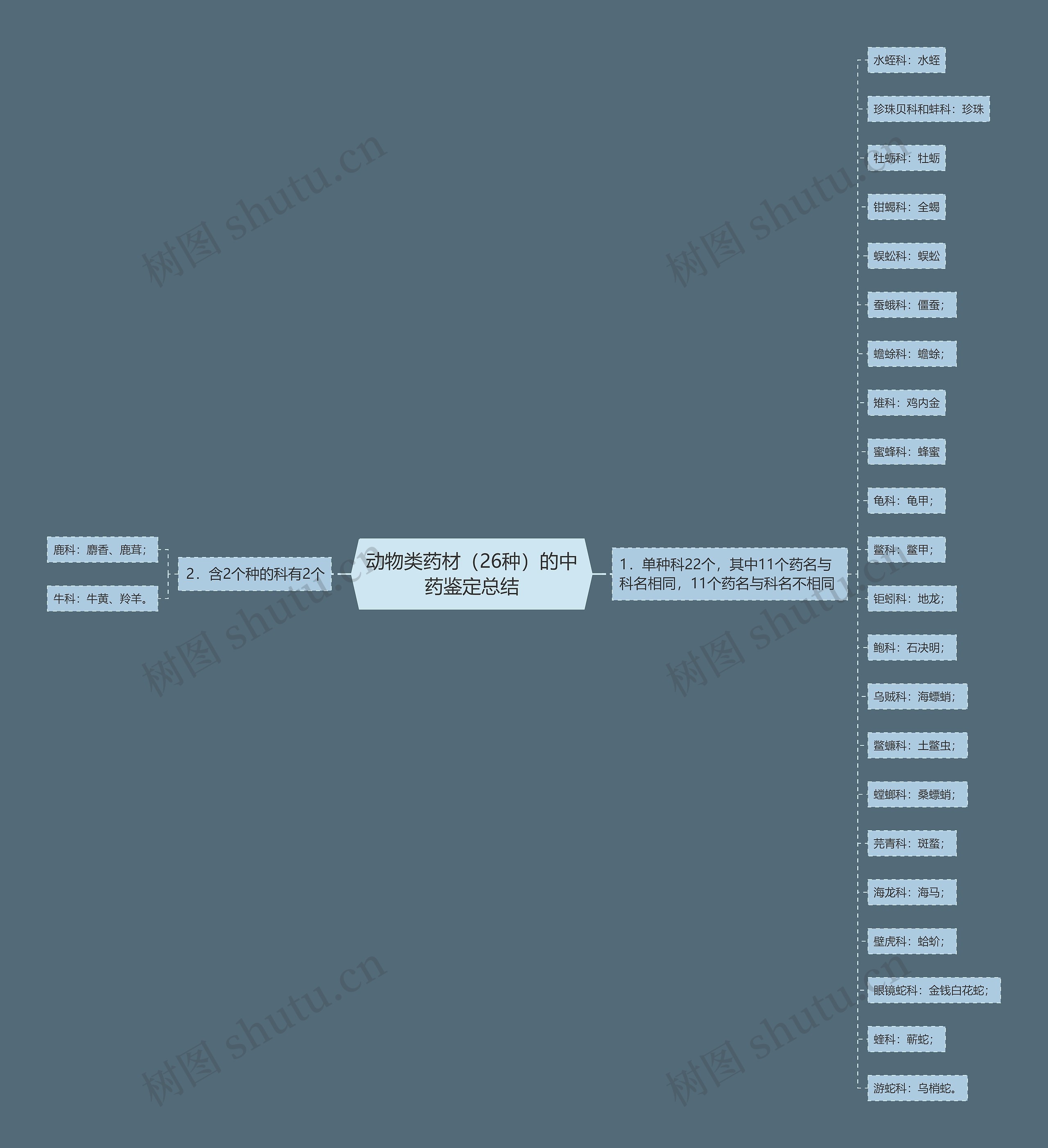 动物类药材（26种）的中药鉴定总结思维导图