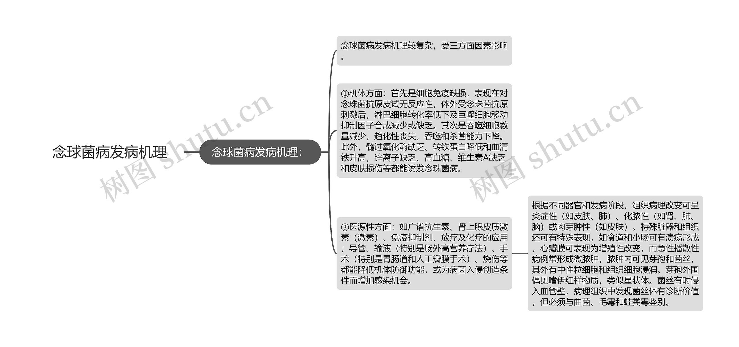 念球菌病发病机理思维导图