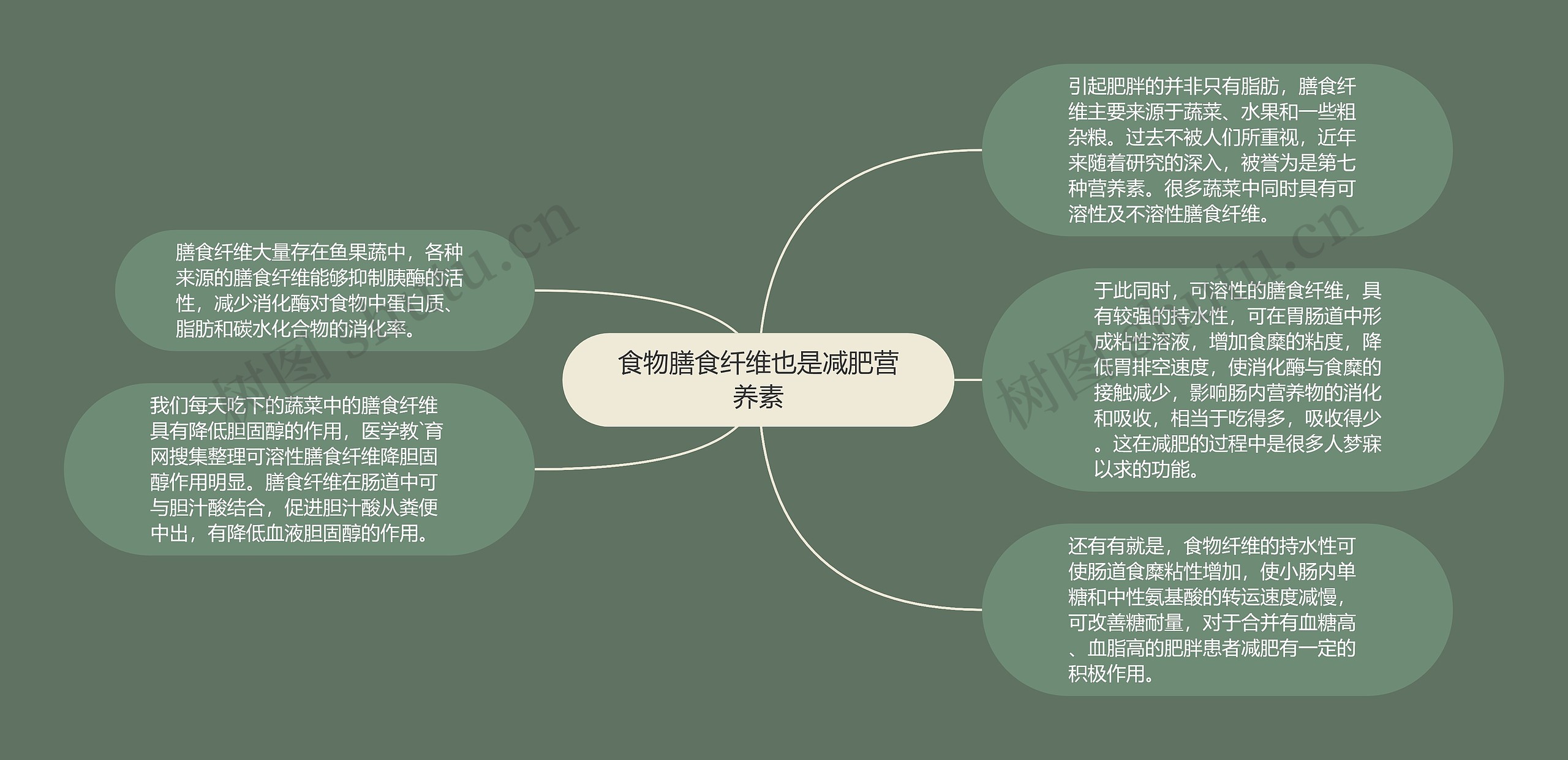 食物膳食纤维也是减肥营养素思维导图