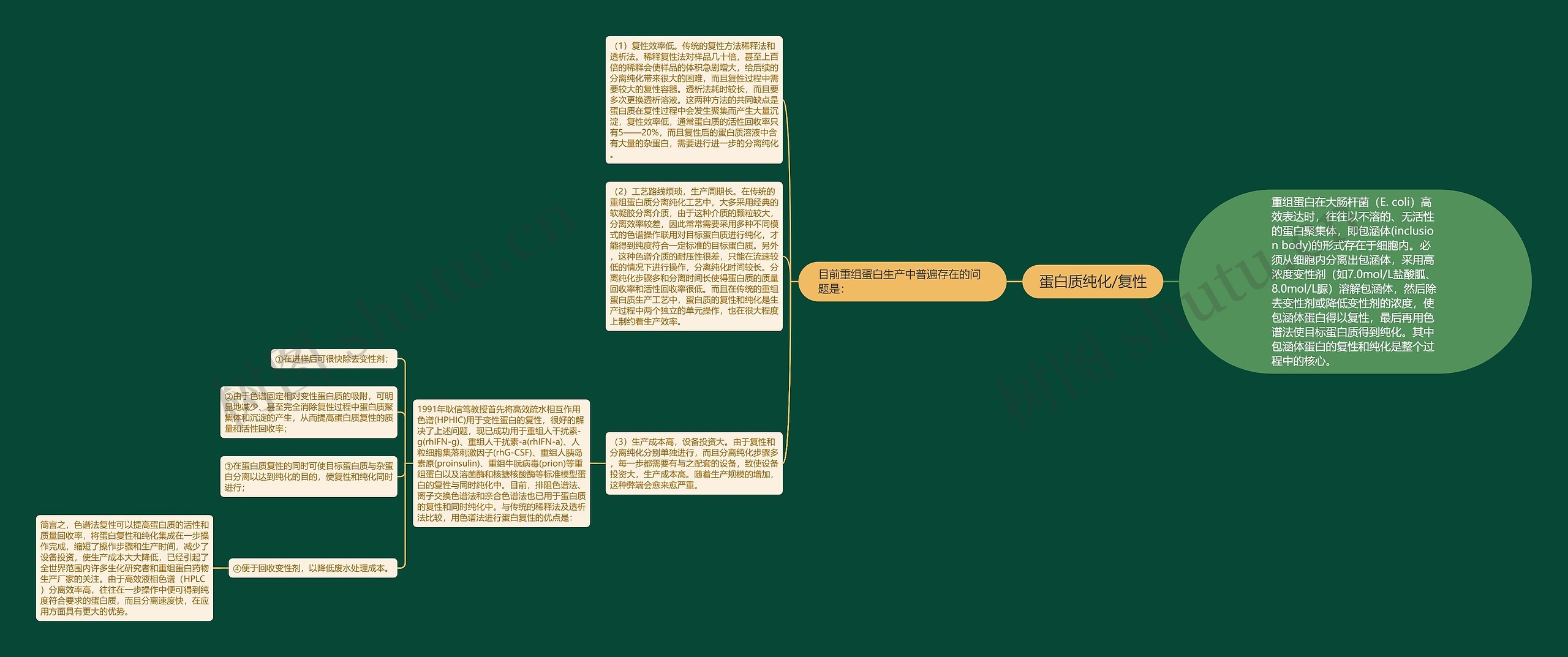 蛋白质纯化/复性思维导图