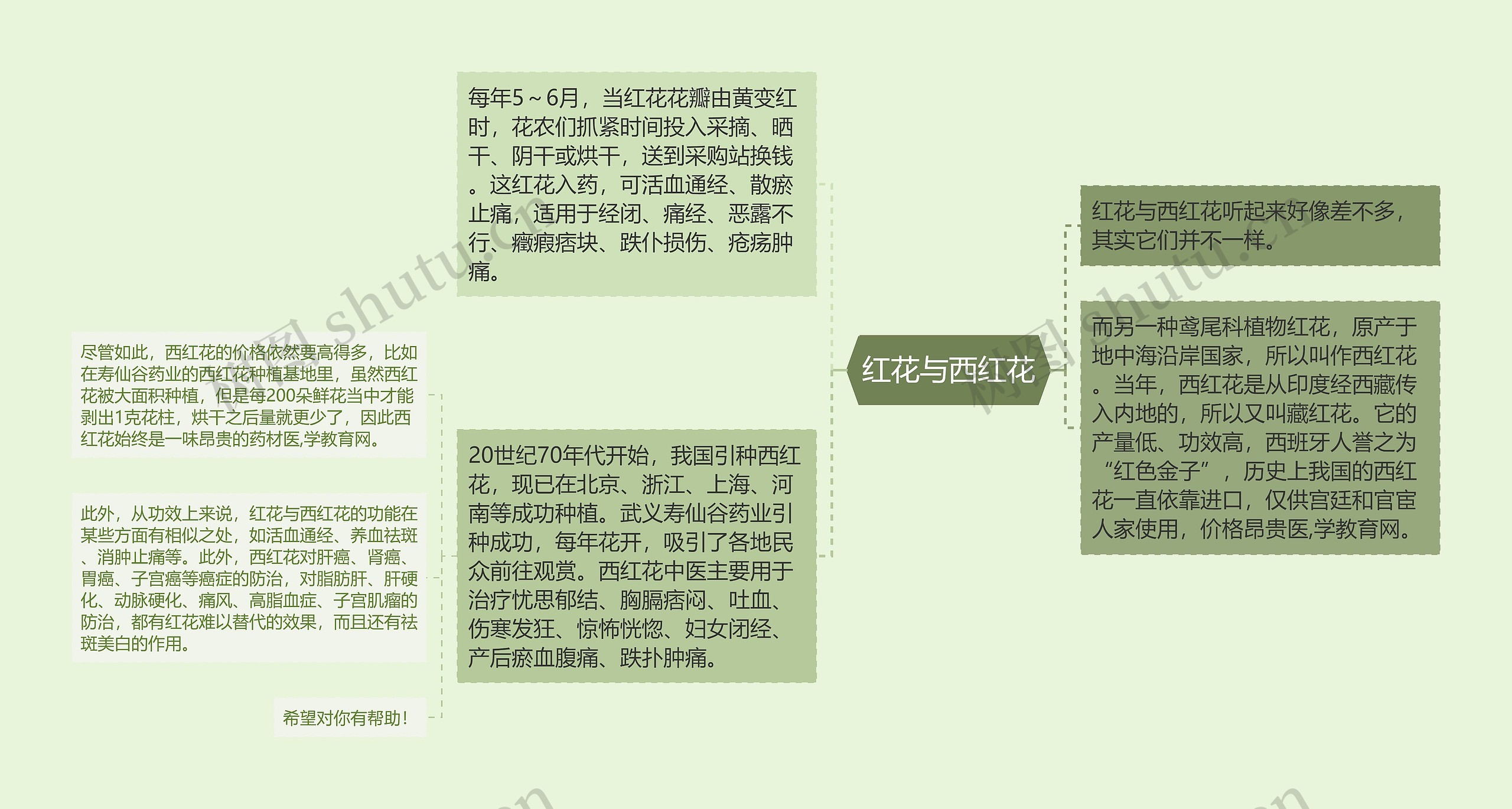 红花与西红花思维导图