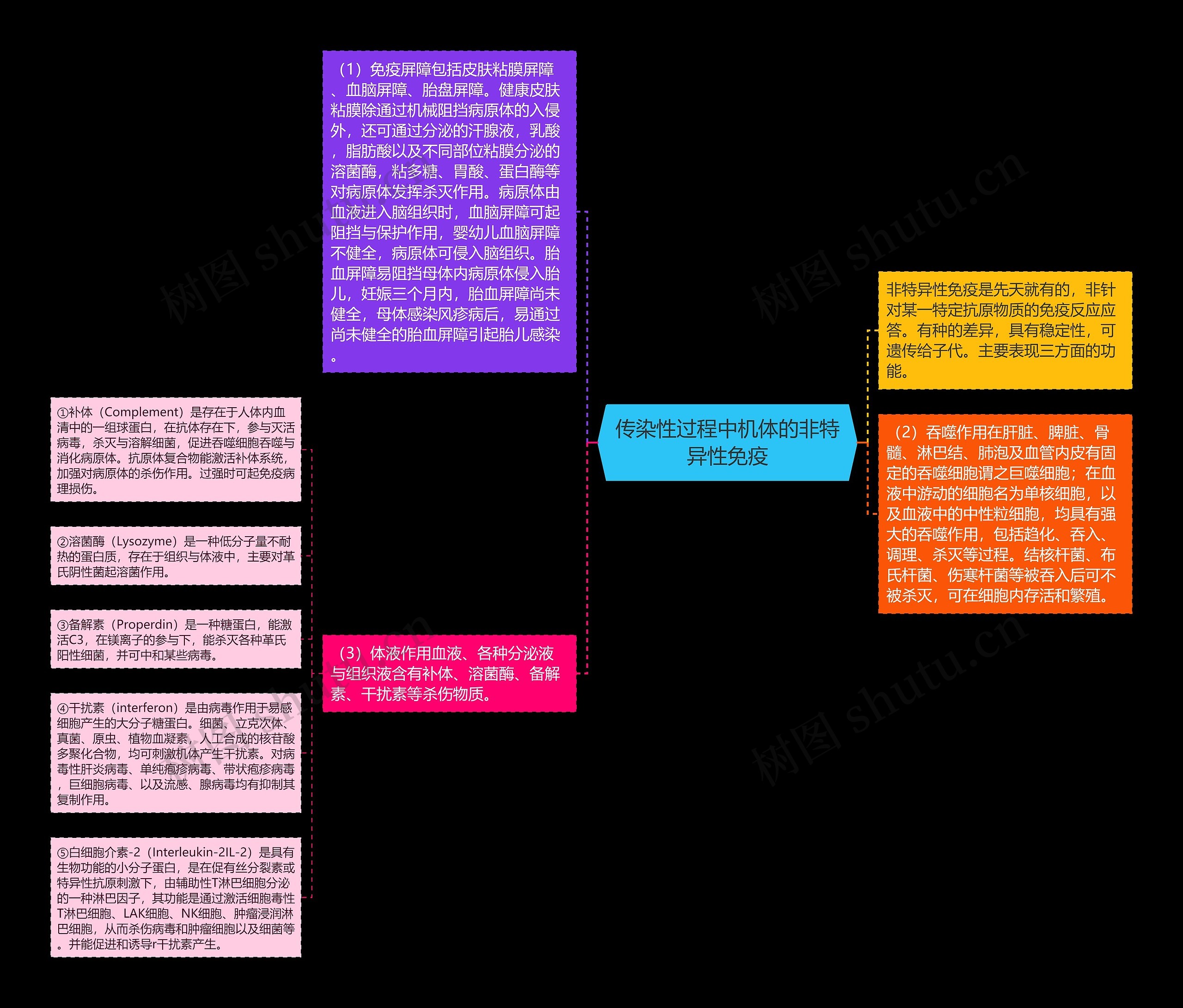 传染性过程中机体的非特异性免疫思维导图