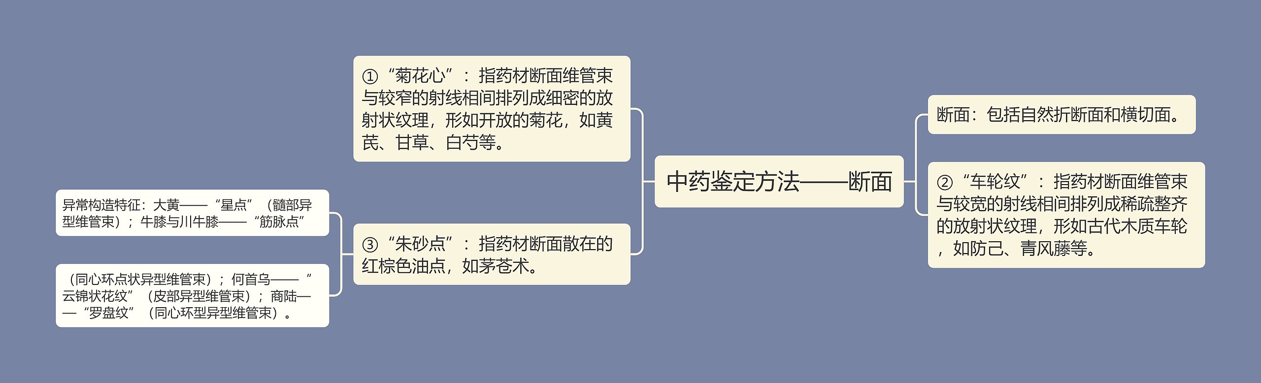 中药鉴定方法——断面思维导图