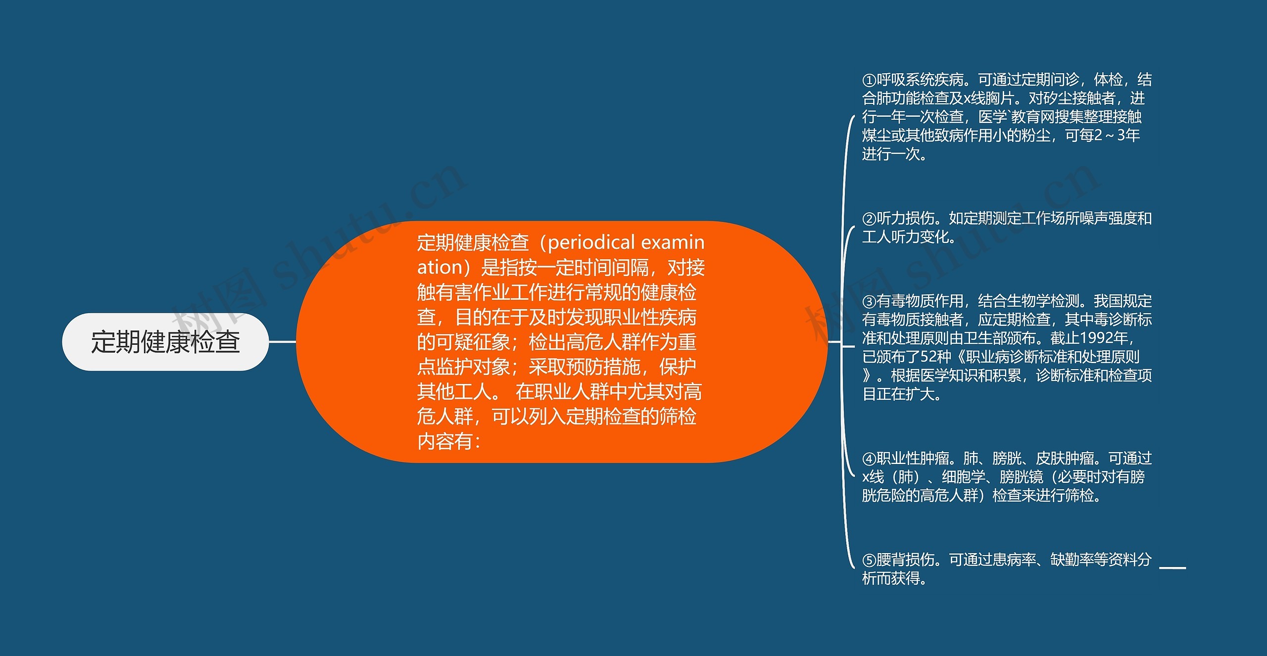 定期健康检查思维导图