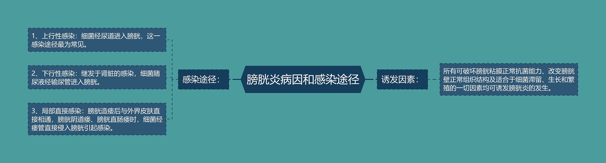膀胱炎病因和感染途径 膀胱炎病因和感染途径