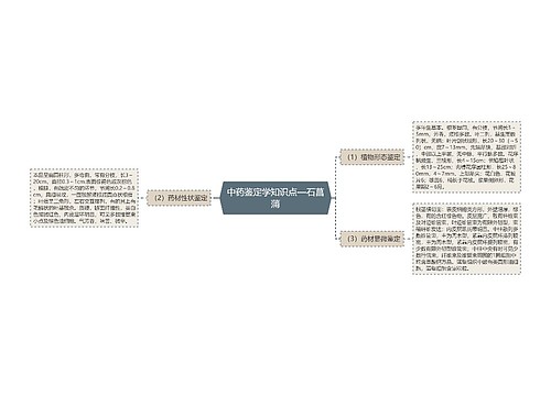 中药鉴定学知识点—石菖蒲