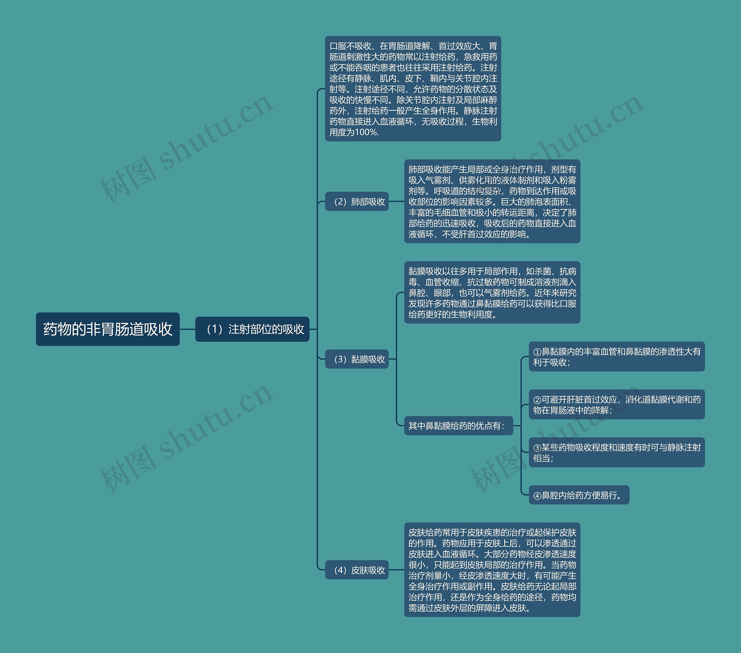 药物的非胃肠道吸收思维导图
