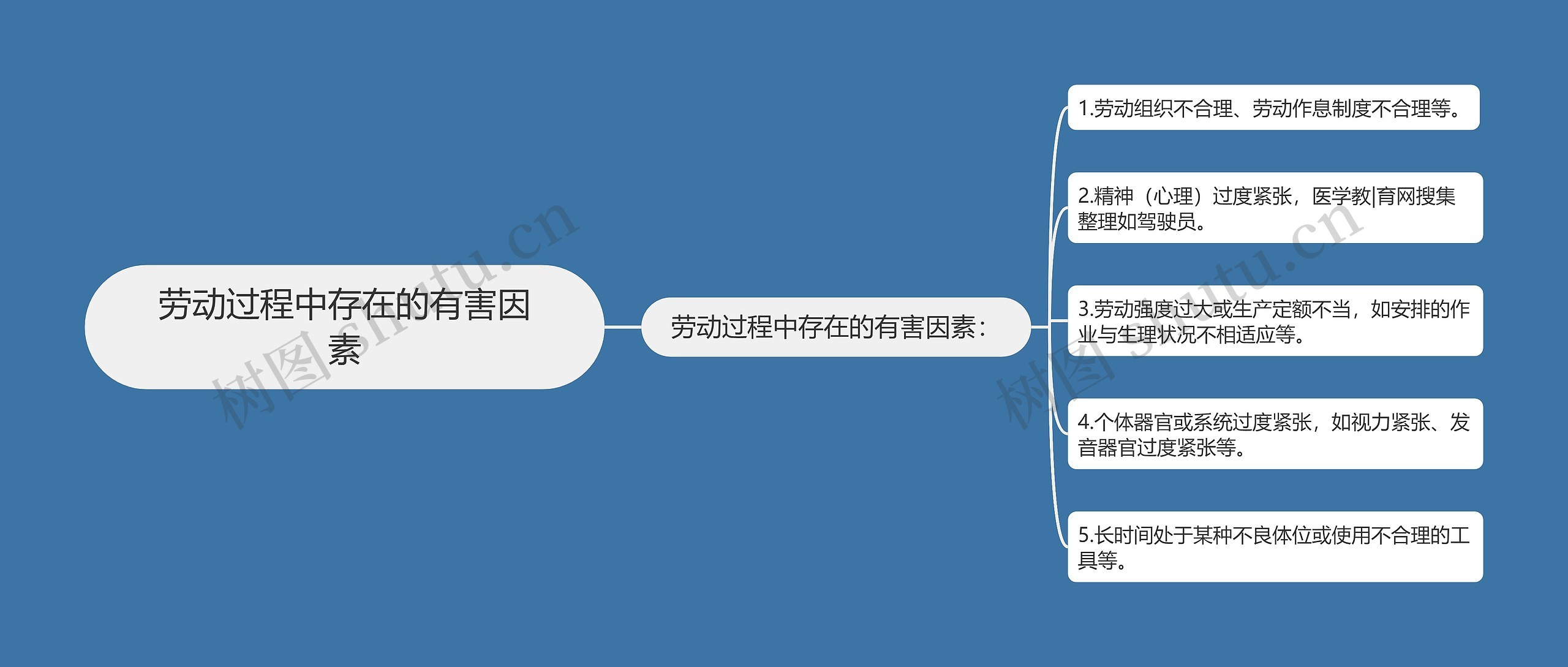 劳动过程中存在的有害因素思维导图