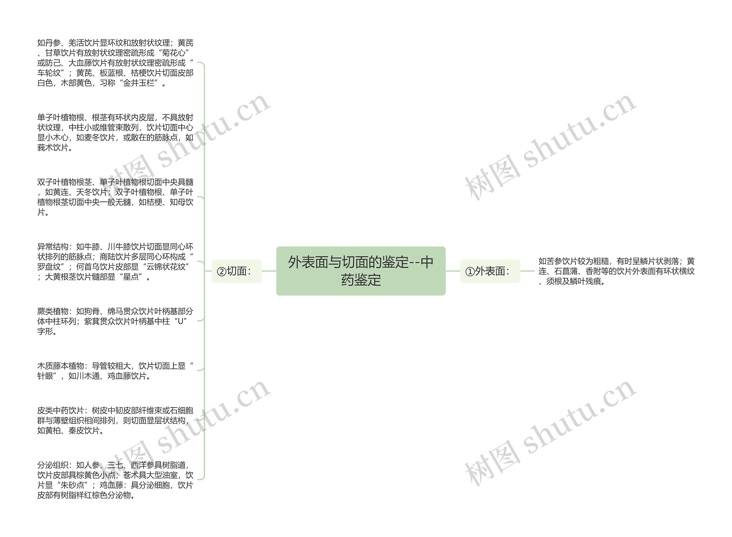 外表面与切面的鉴定--中药鉴定