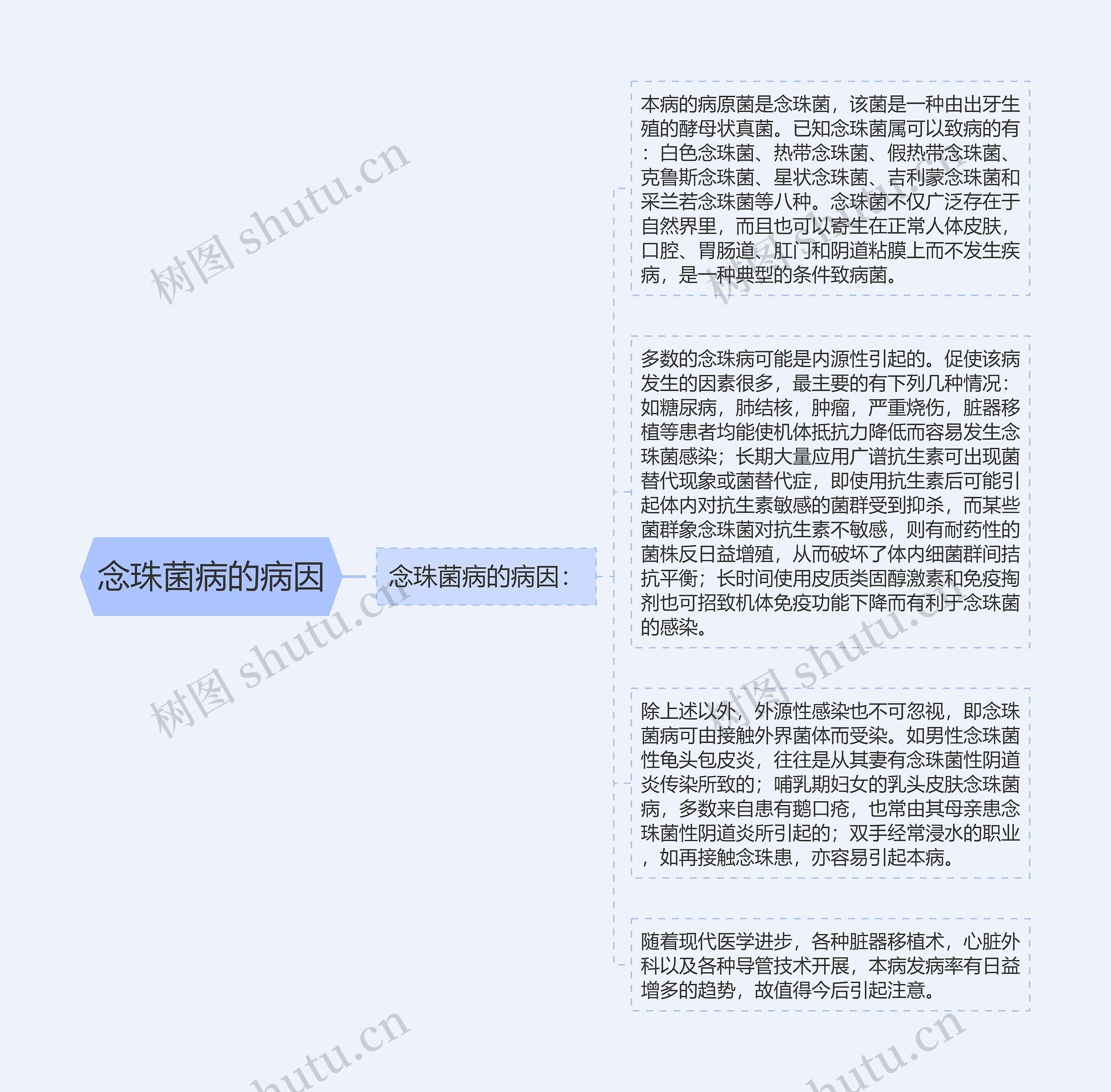 念珠菌病的病因思维导图
