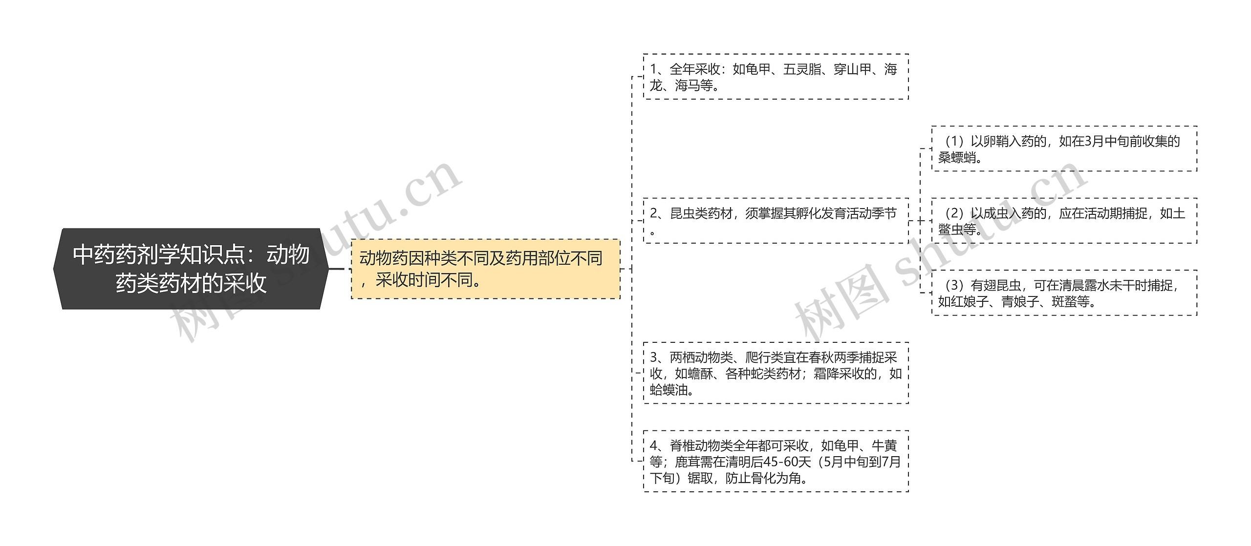 中药药剂学知识点：动物药类药材的采收思维导图