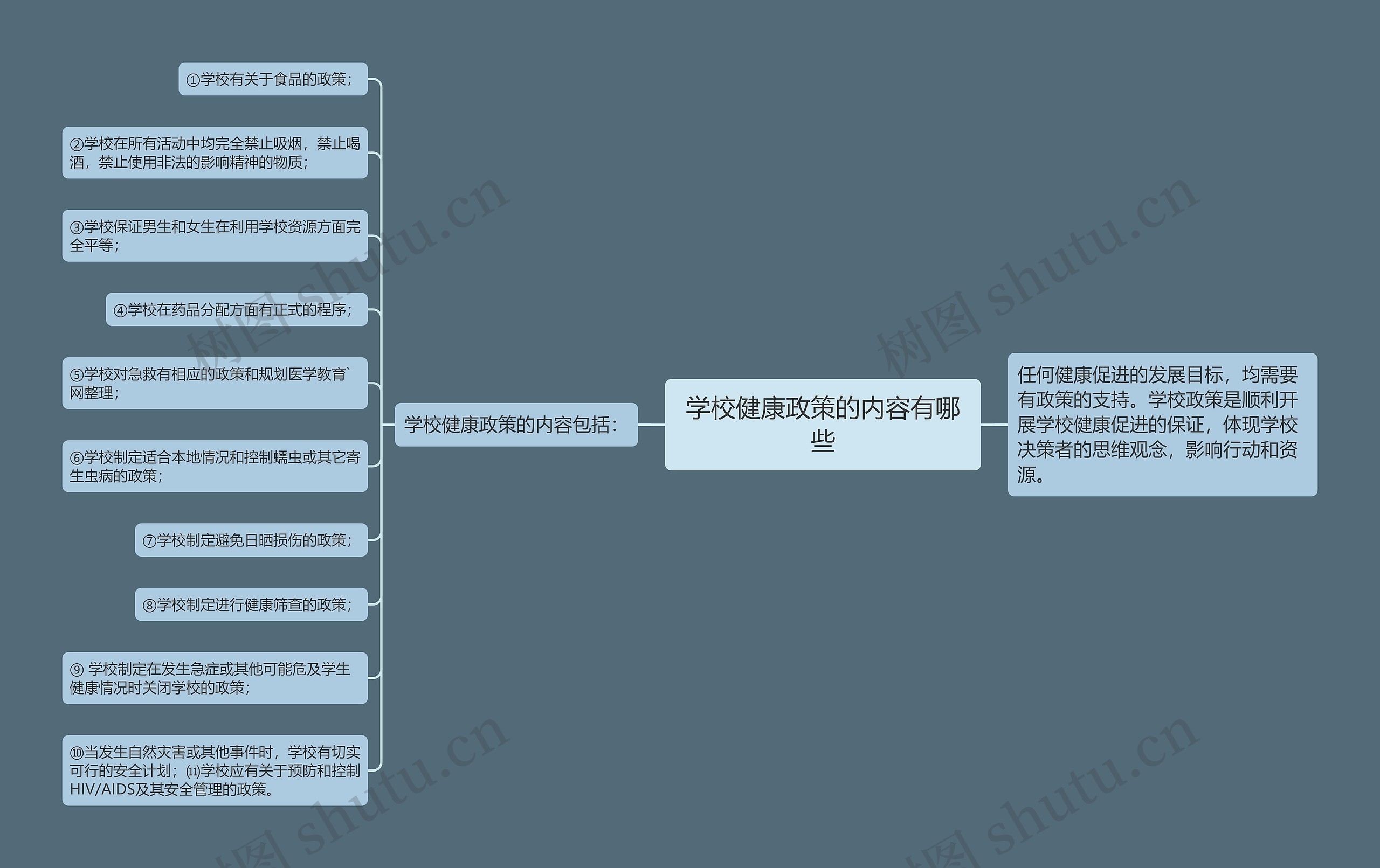 学校健康政策的内容有哪些思维导图