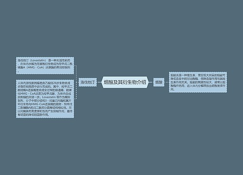 烟酸及其衍生物介绍