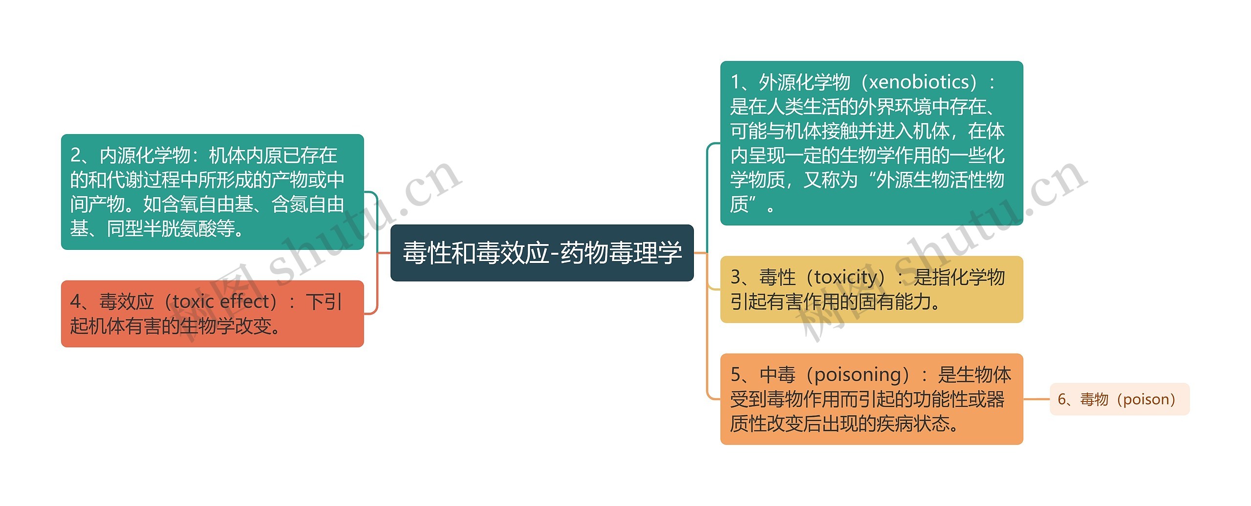 毒性和毒效应-药物毒理学思维导图