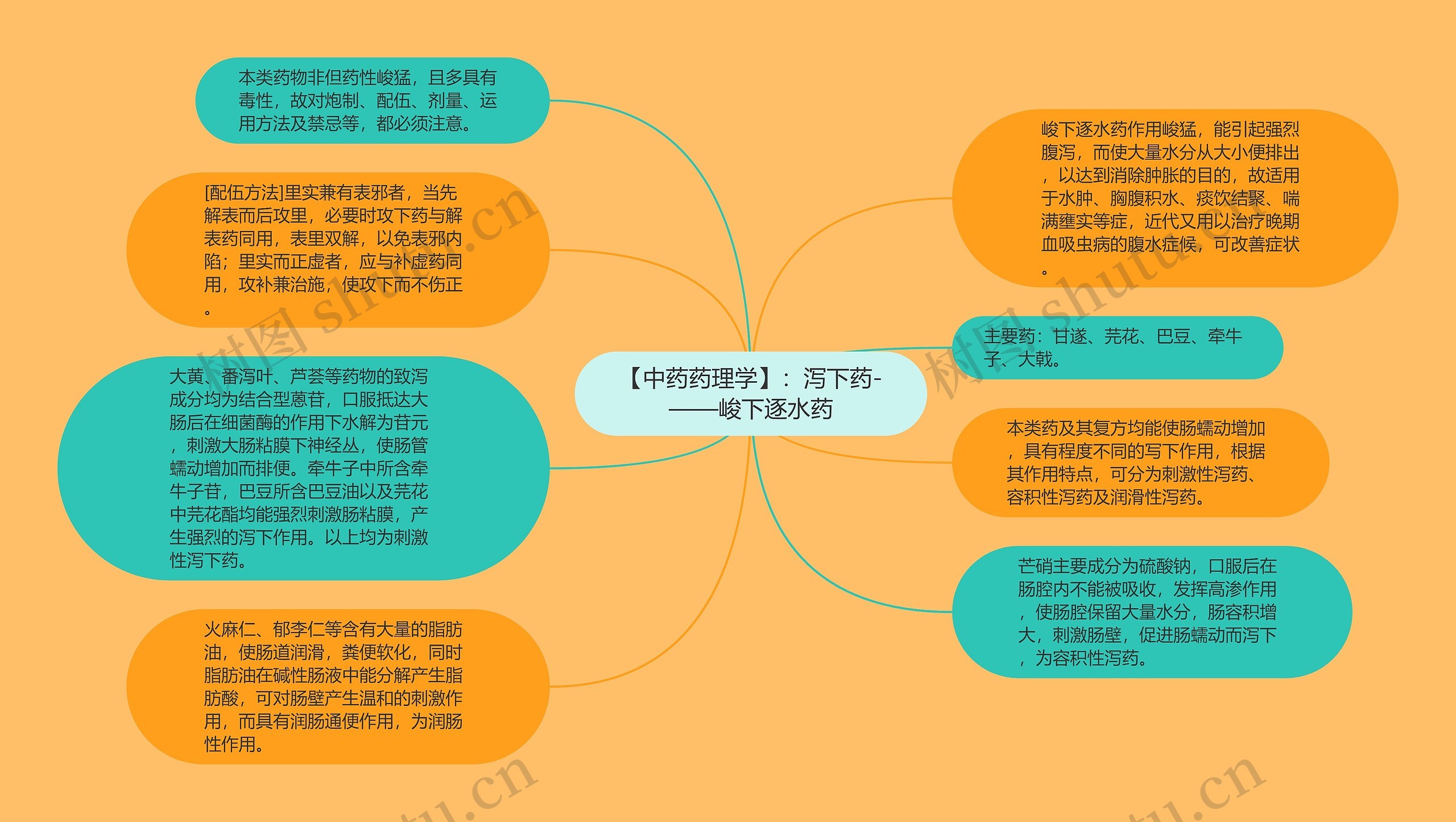 【中药药理学】：泻下药-——峻下逐水药思维导图