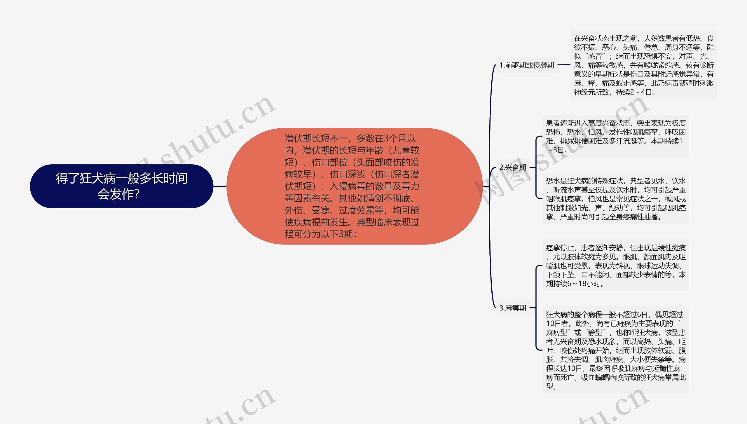 得了狂犬病一般多长时间会发作？思维导图