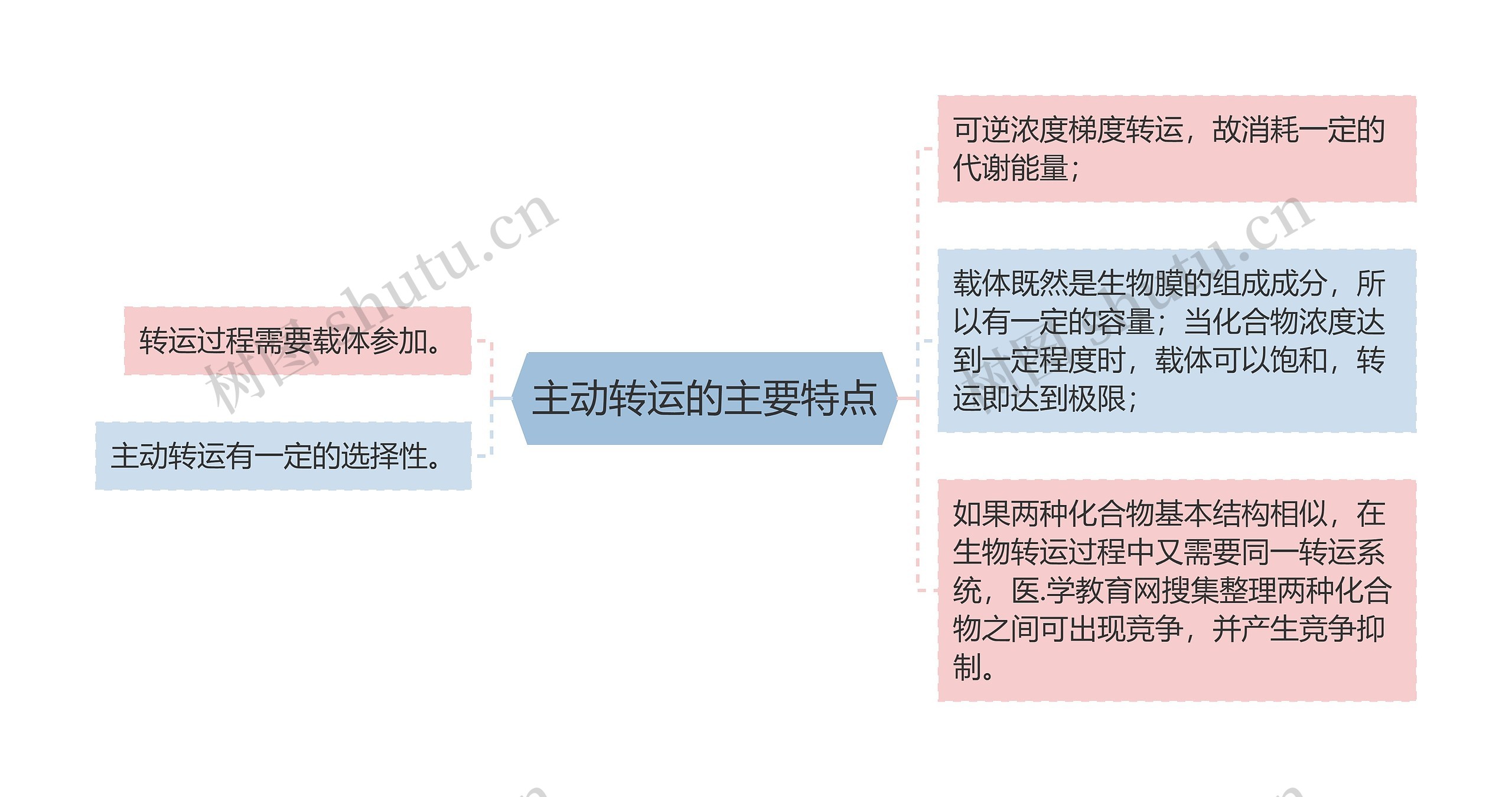 主动转运的主要特点思维导图