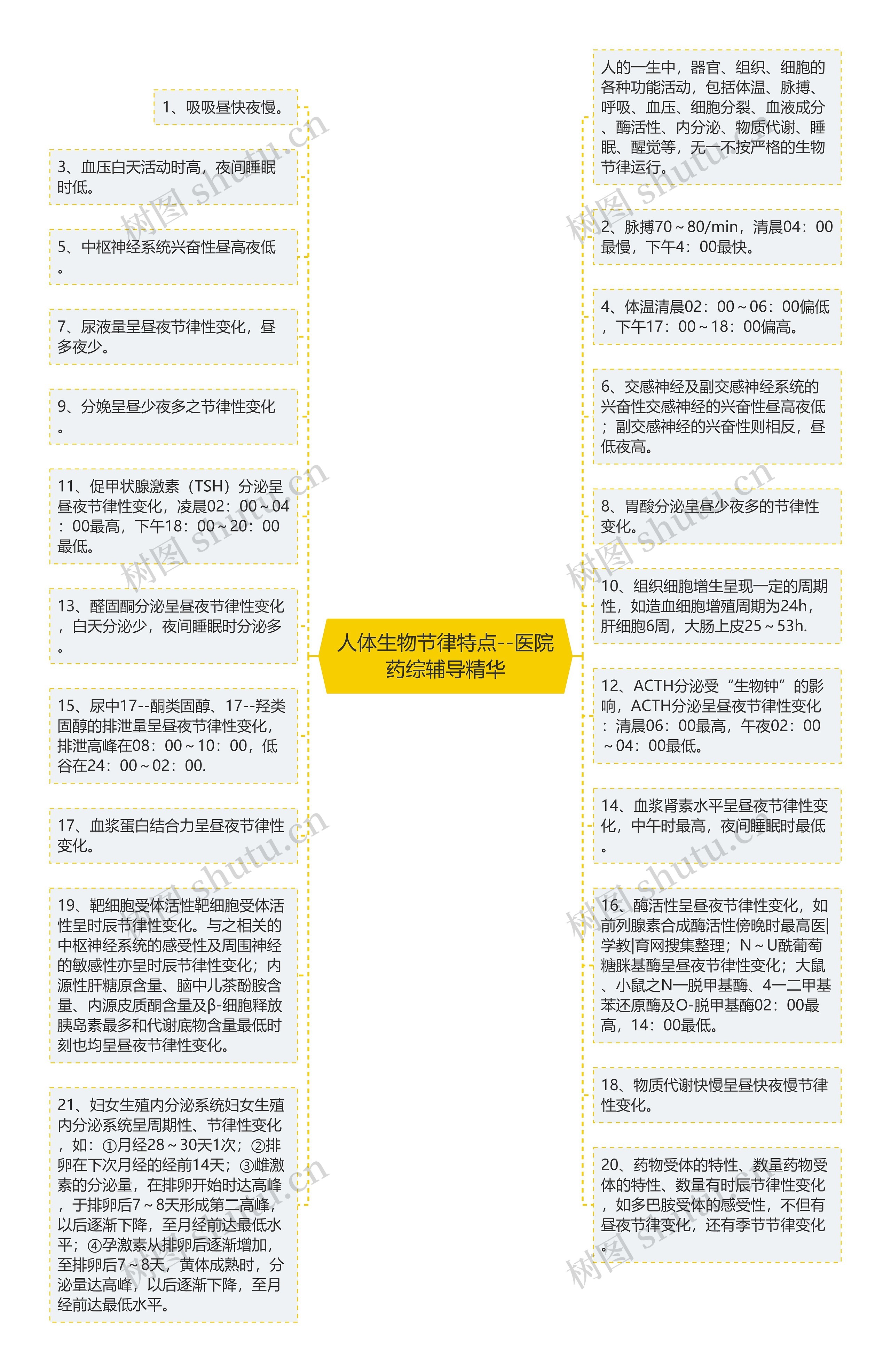 人体生物节律特点--医院药综辅导精华