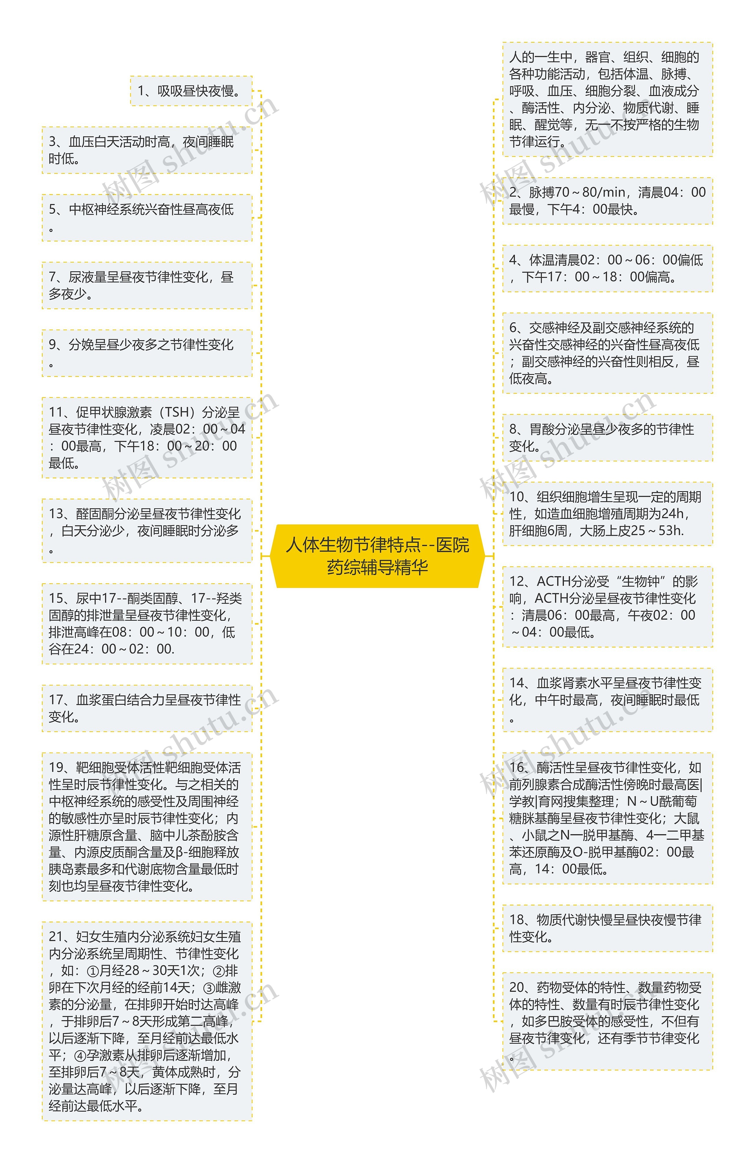 人体生物节律特点--医院药综辅导精华思维导图