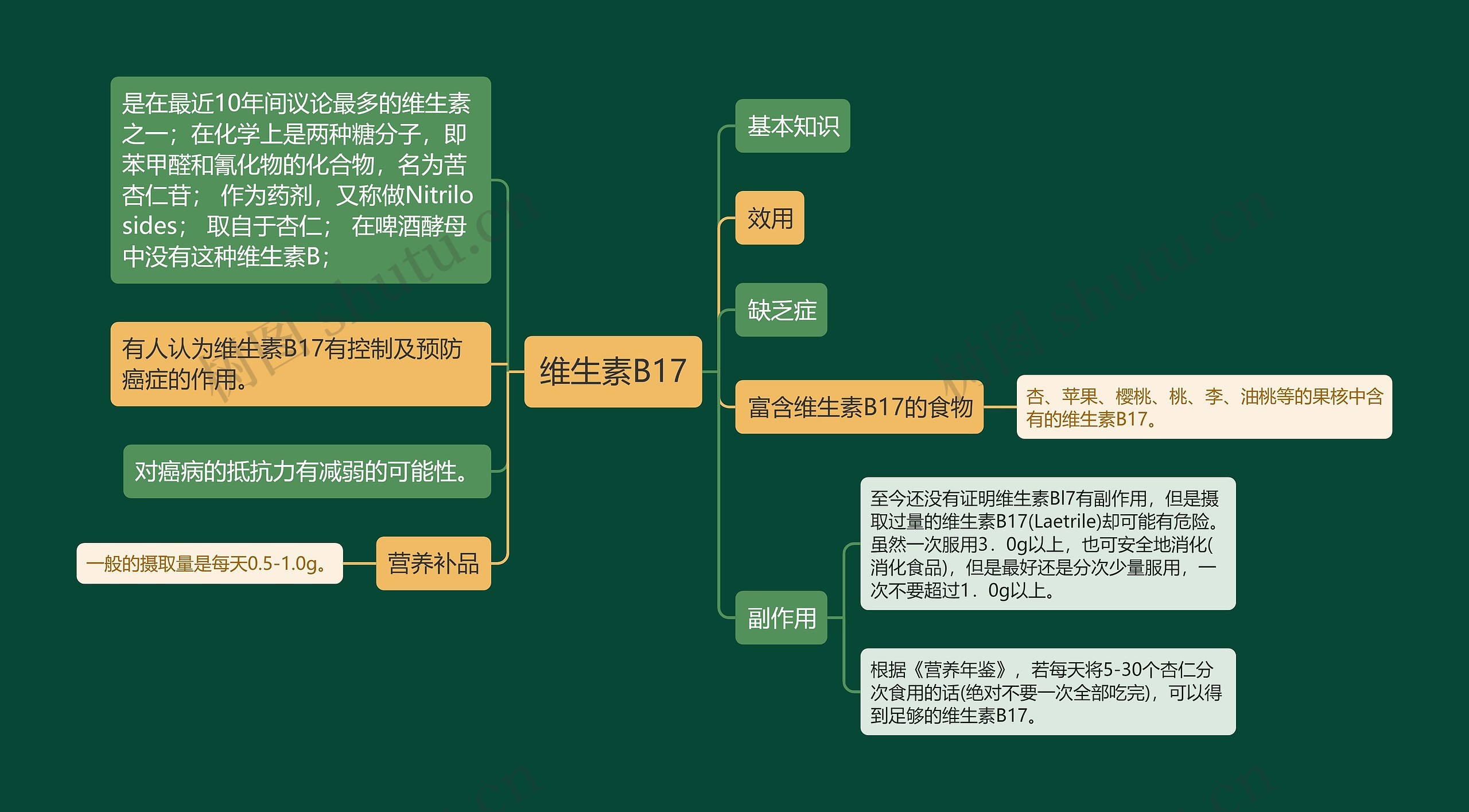 维生素B17思维导图