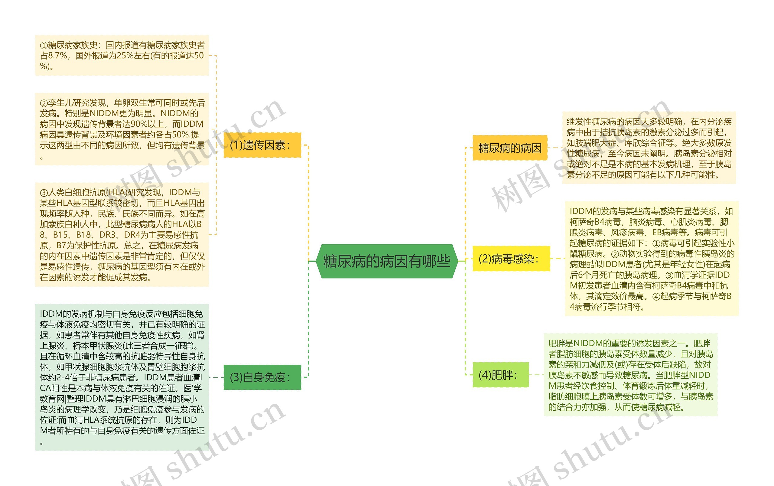 糖尿病的病因有哪些思维导图