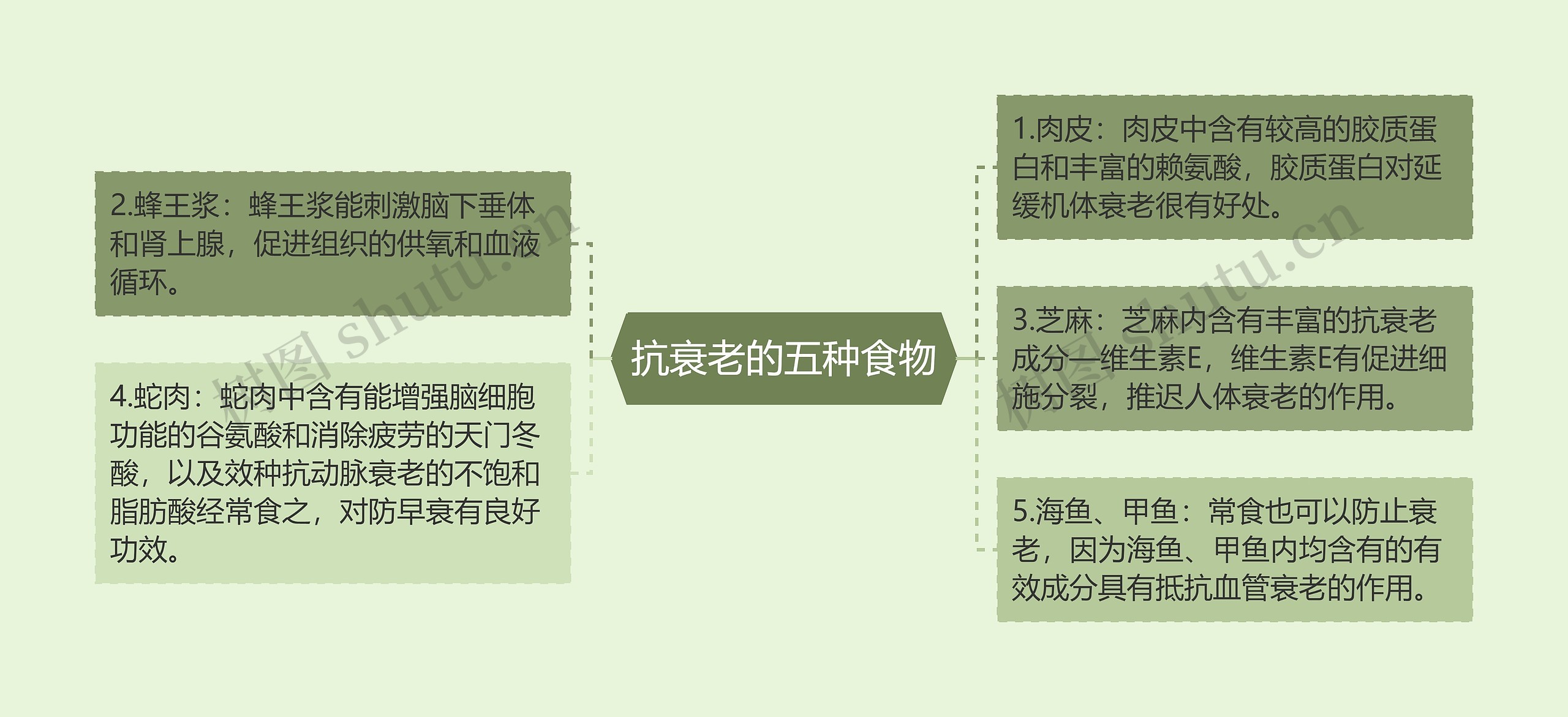 抗衰老的五种食物思维导图