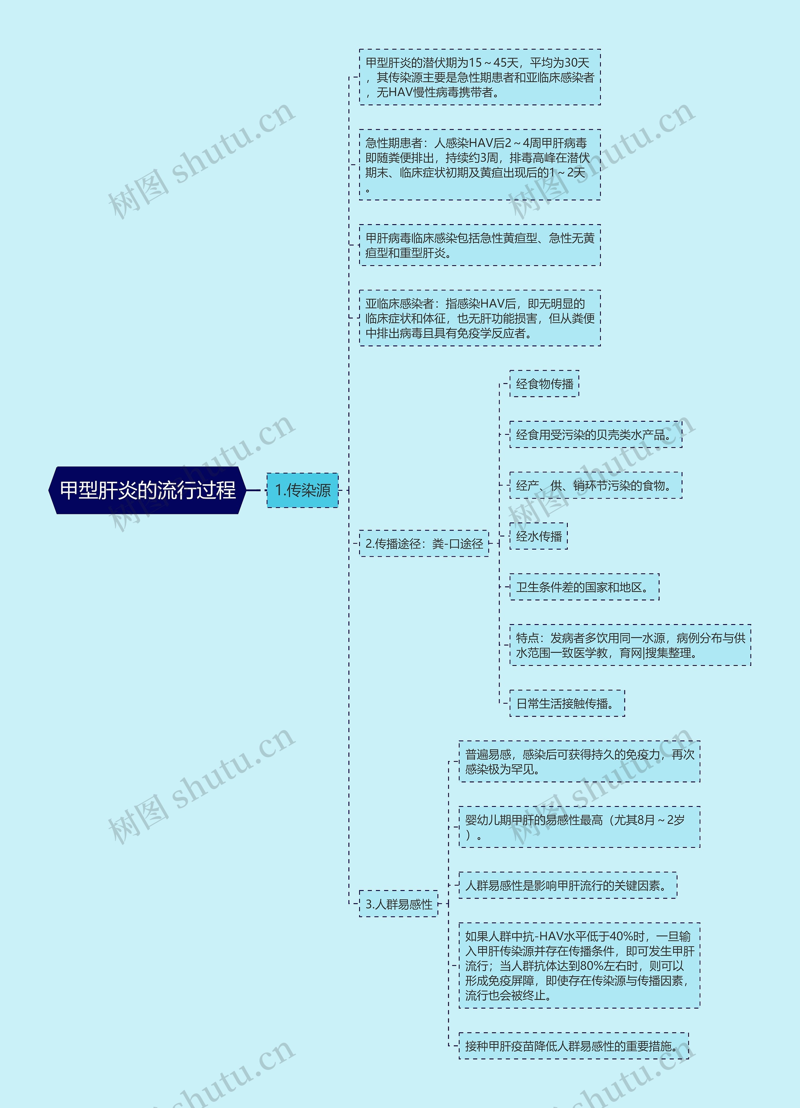 甲型肝炎的流行过程思维导图