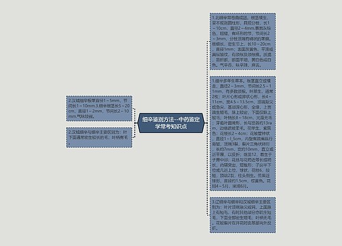 细辛鉴别方法--中药鉴定学常考知识点