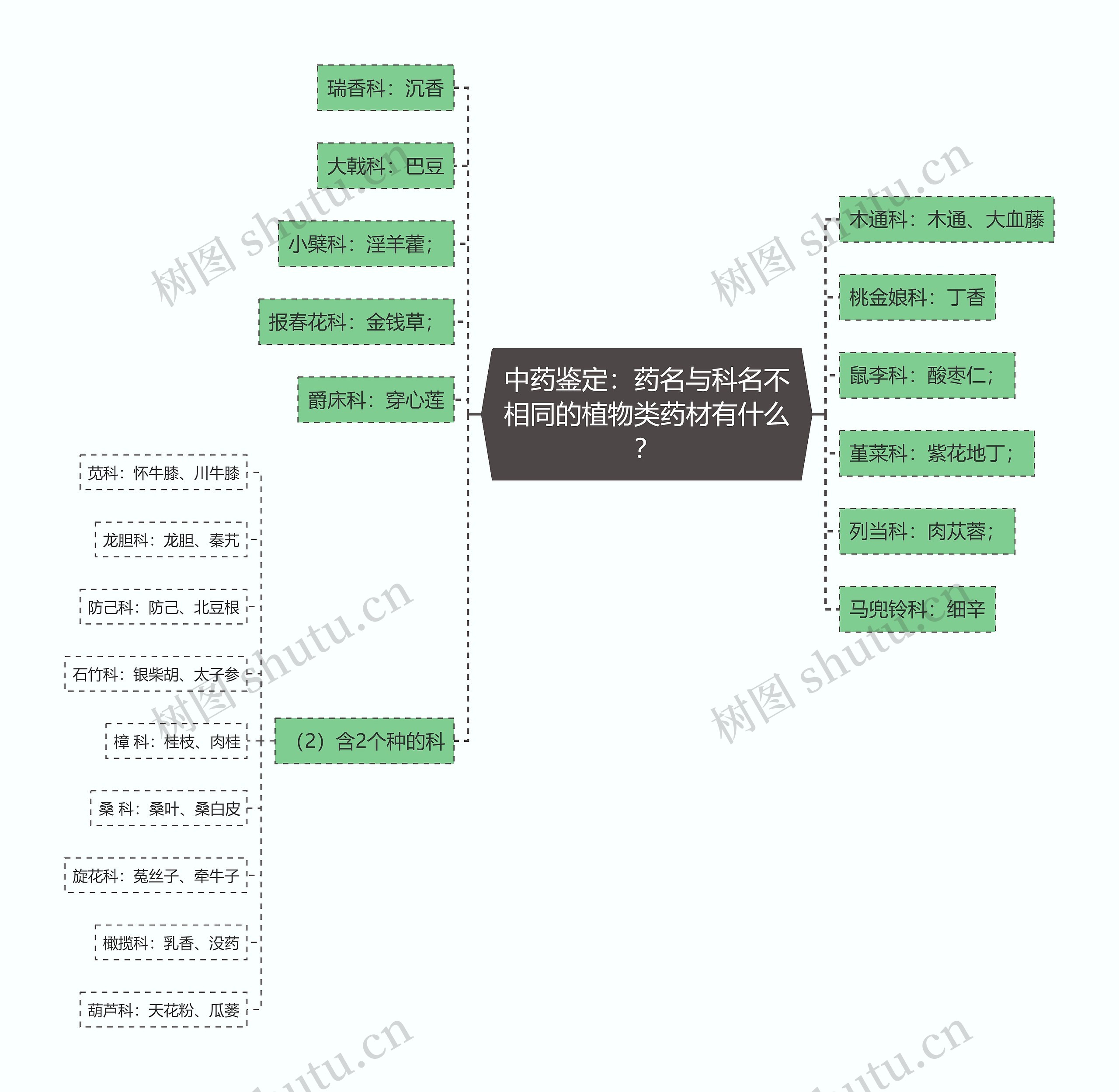 中药鉴定：药名与科名不相同的植物类药材有什么？思维导图