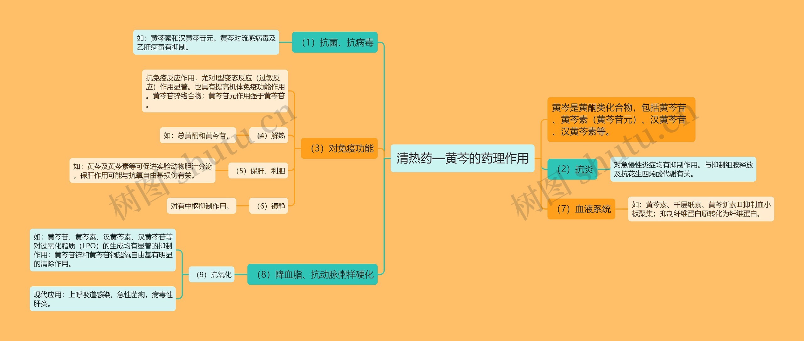 清热药—黄芩的药理作用思维导图