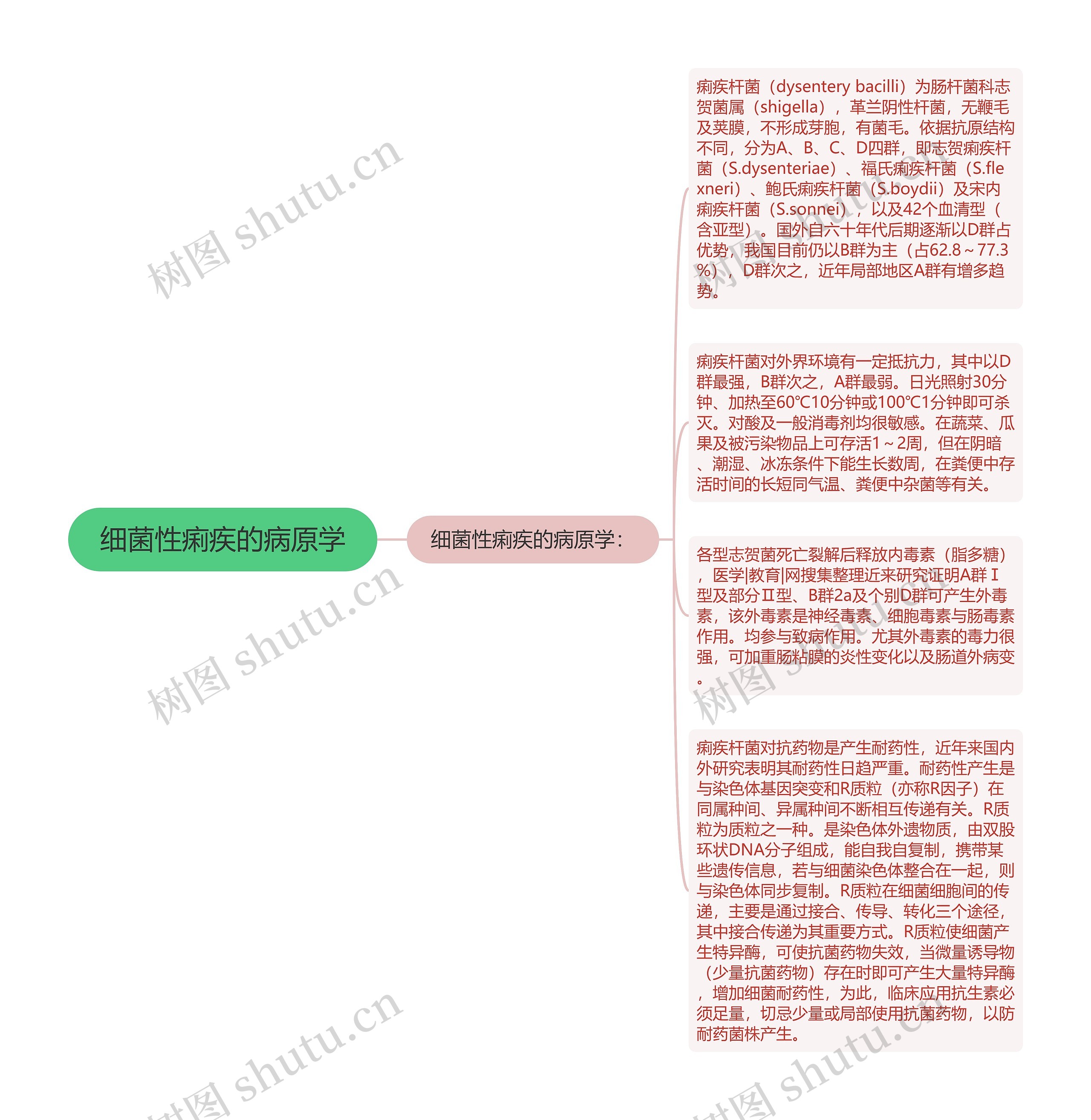 细菌性痢疾的病原学思维导图