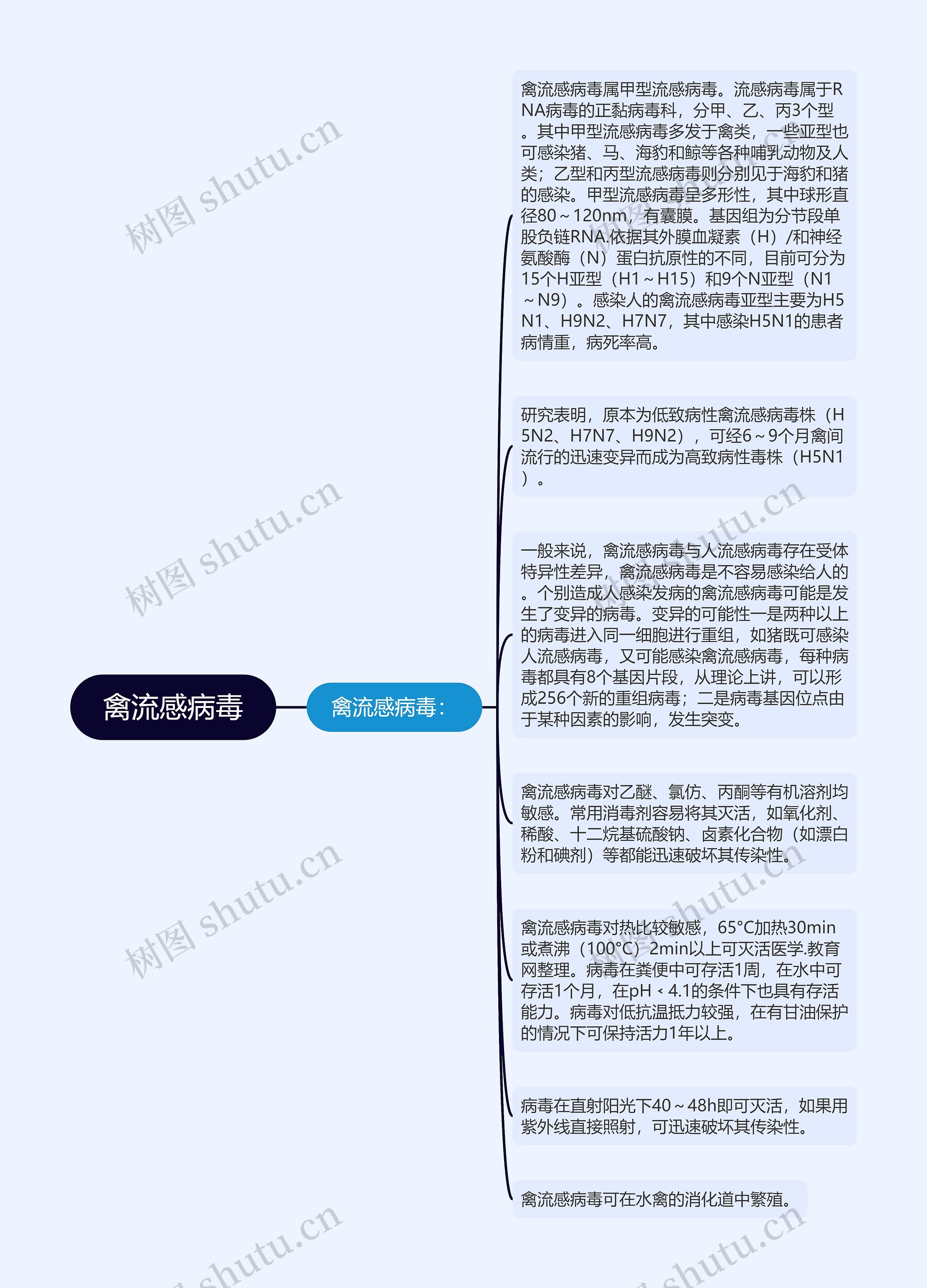 禽流感病毒