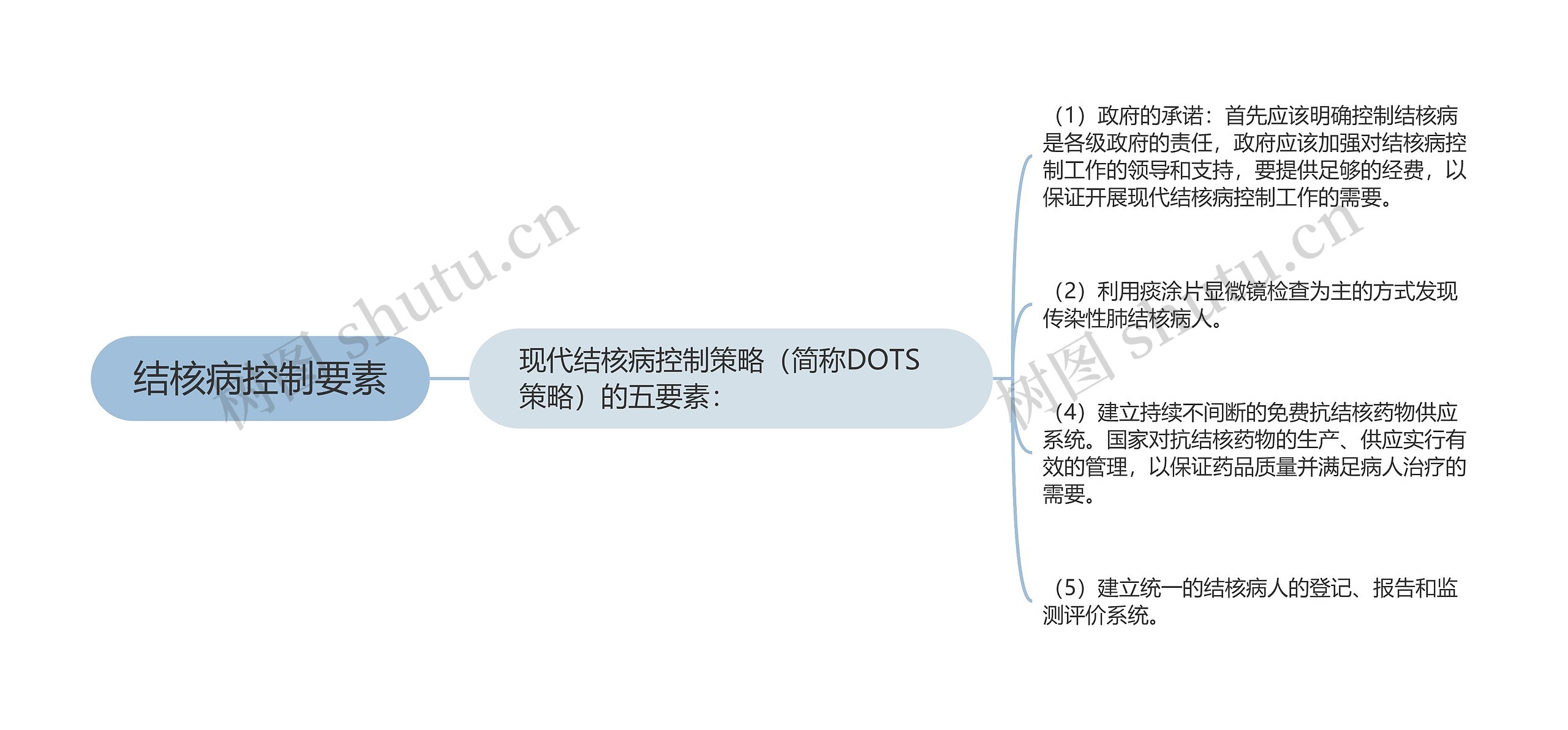 结核病控制要素思维导图