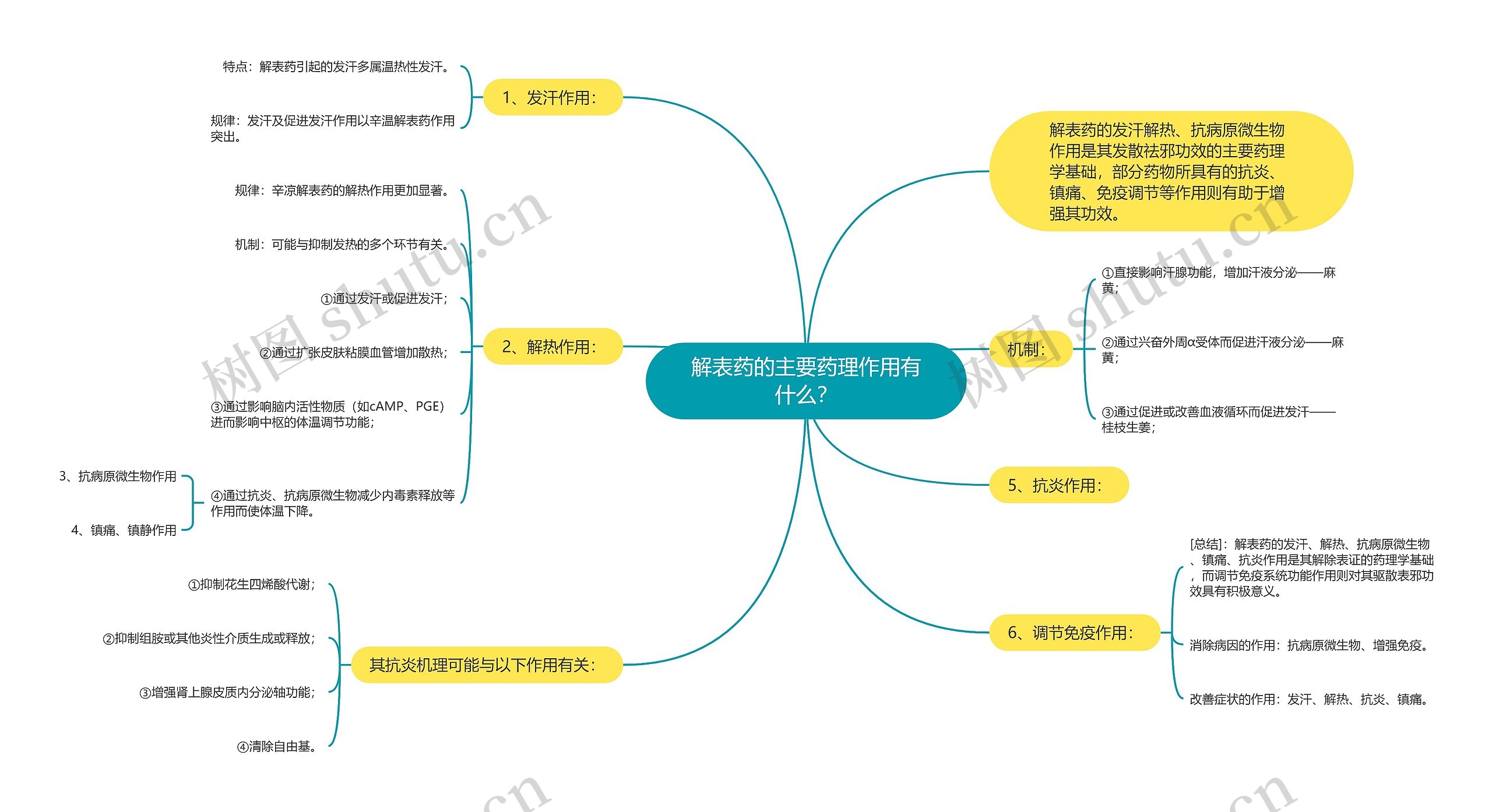 解表药的主要药理作用有什么？思维导图