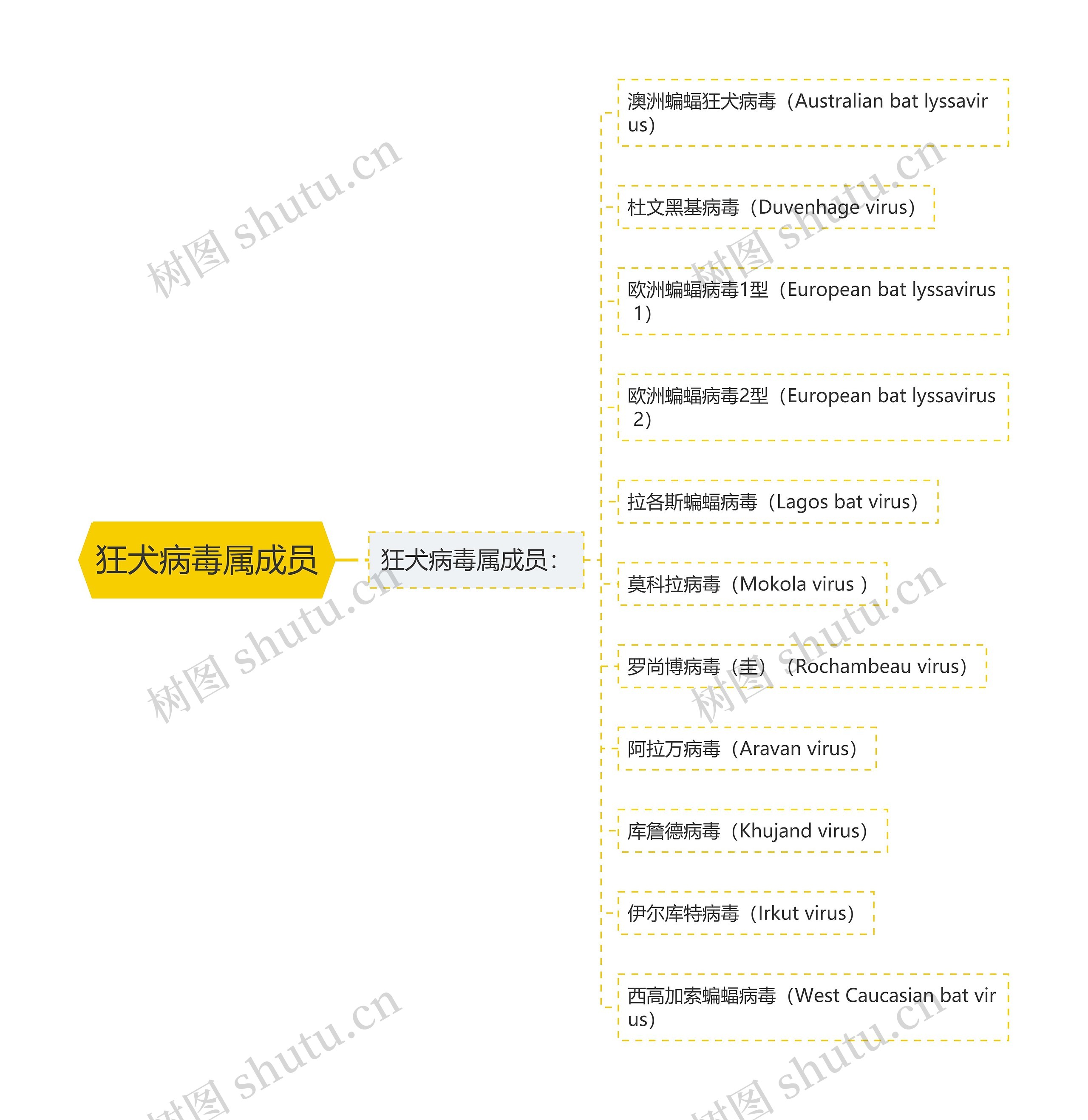 狂犬病毒属成员思维导图