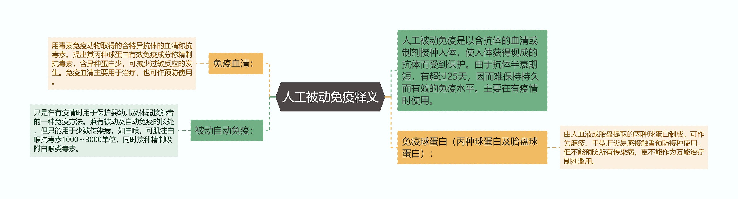 人工被动免疫释义思维导图