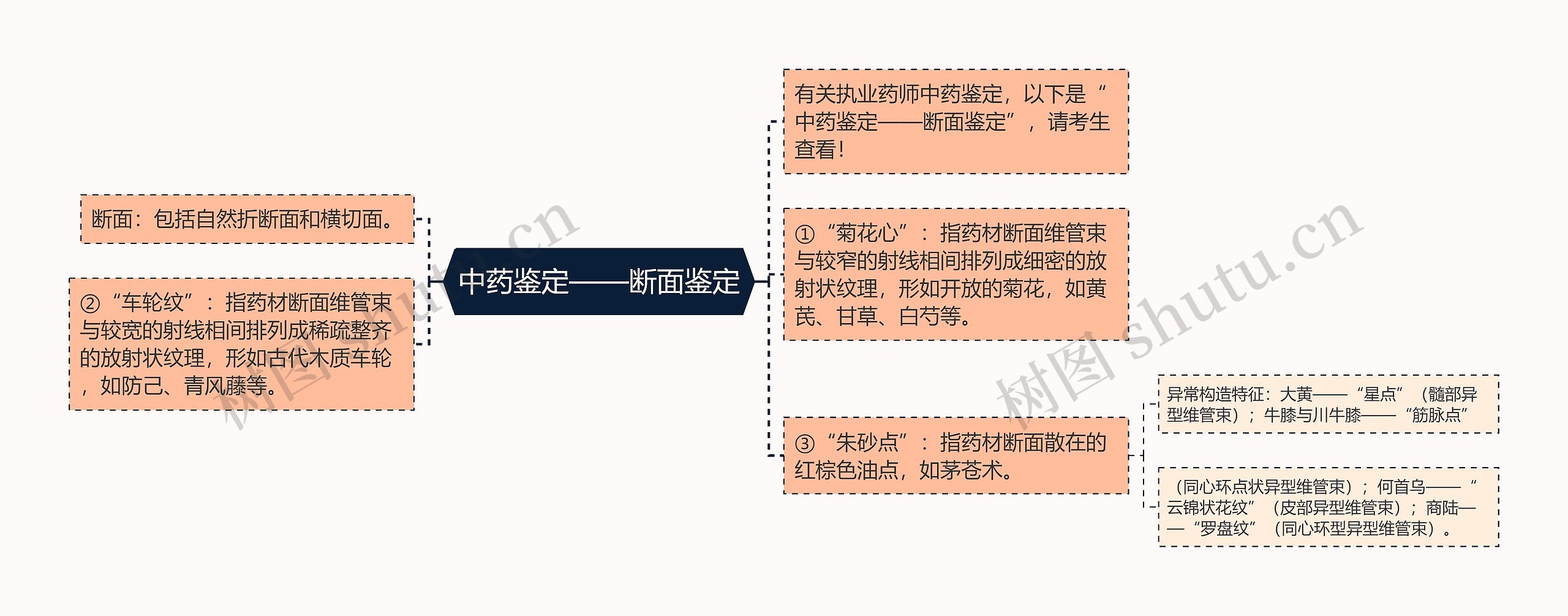 中药鉴定——断面鉴定思维导图