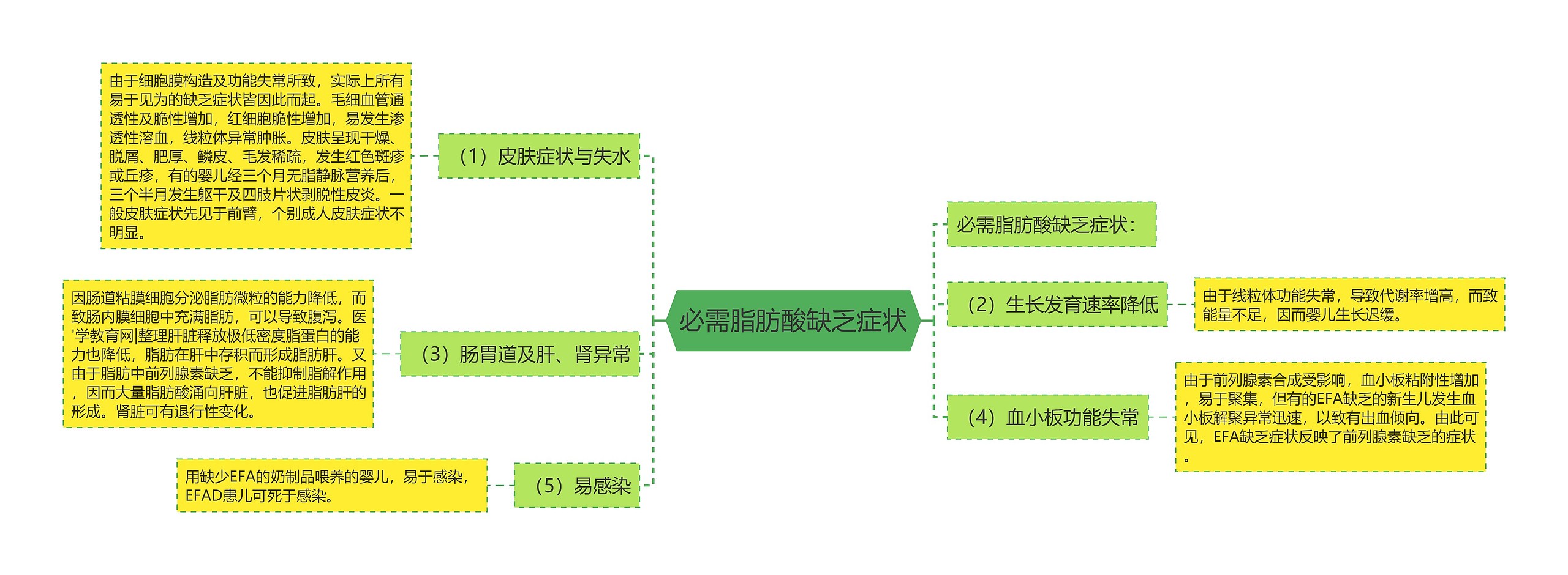 必需脂肪酸缺乏症状思维导图