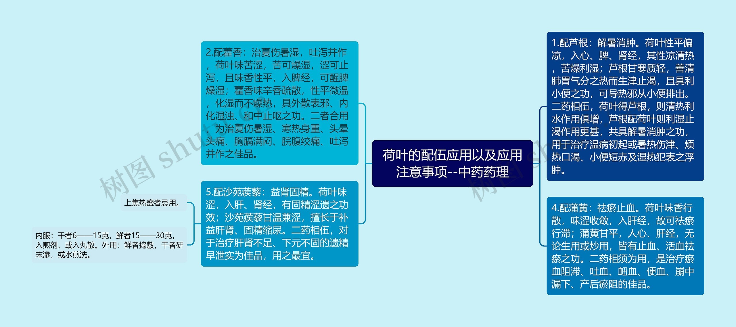 荷叶的配伍应用以及应用注意事项--中药药理思维导图