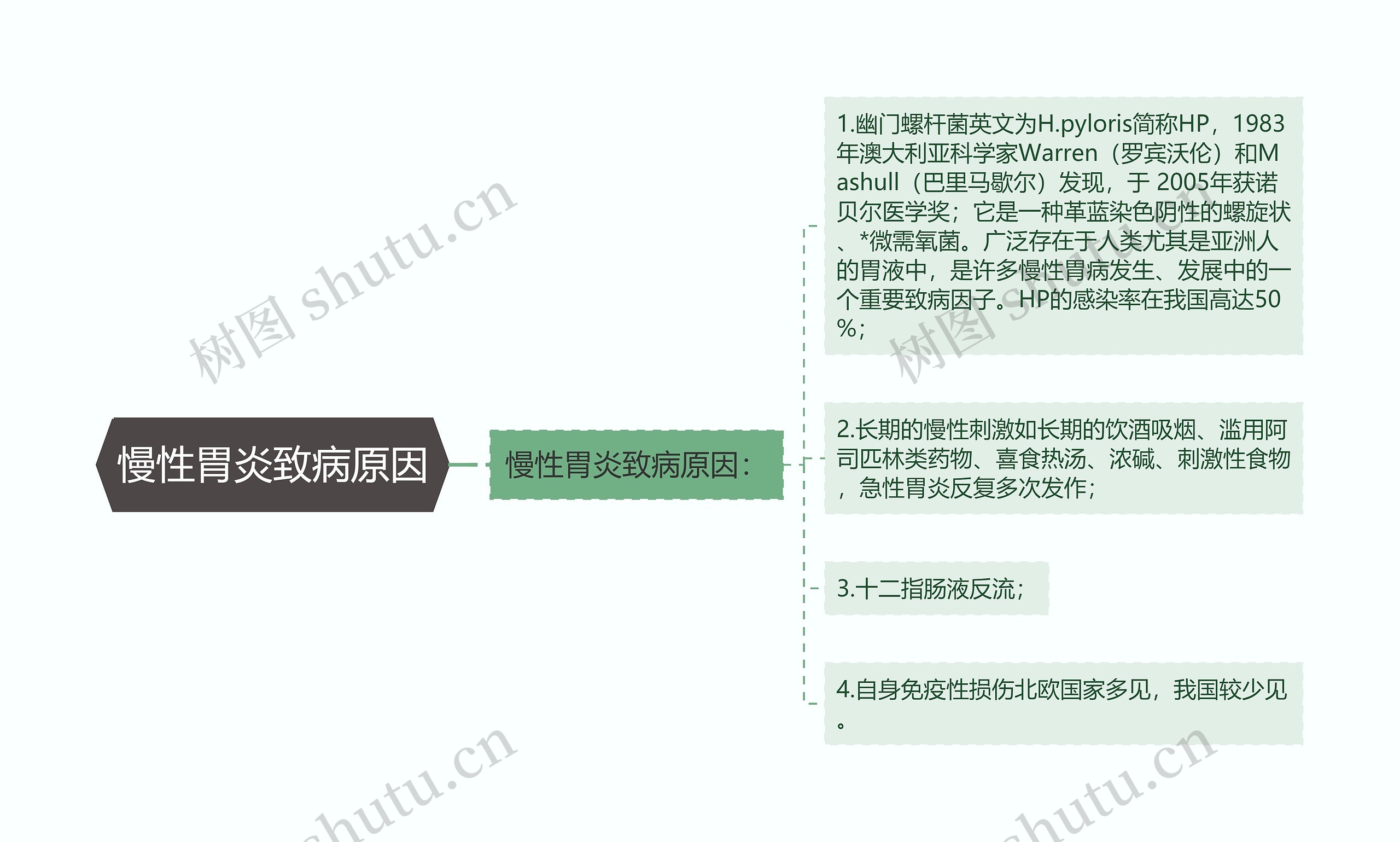 慢性胃炎致病原因思维导图