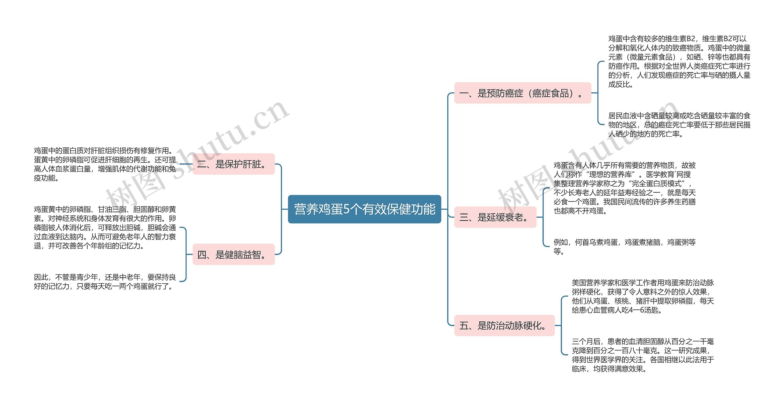 营养鸡蛋5个有效保健功能