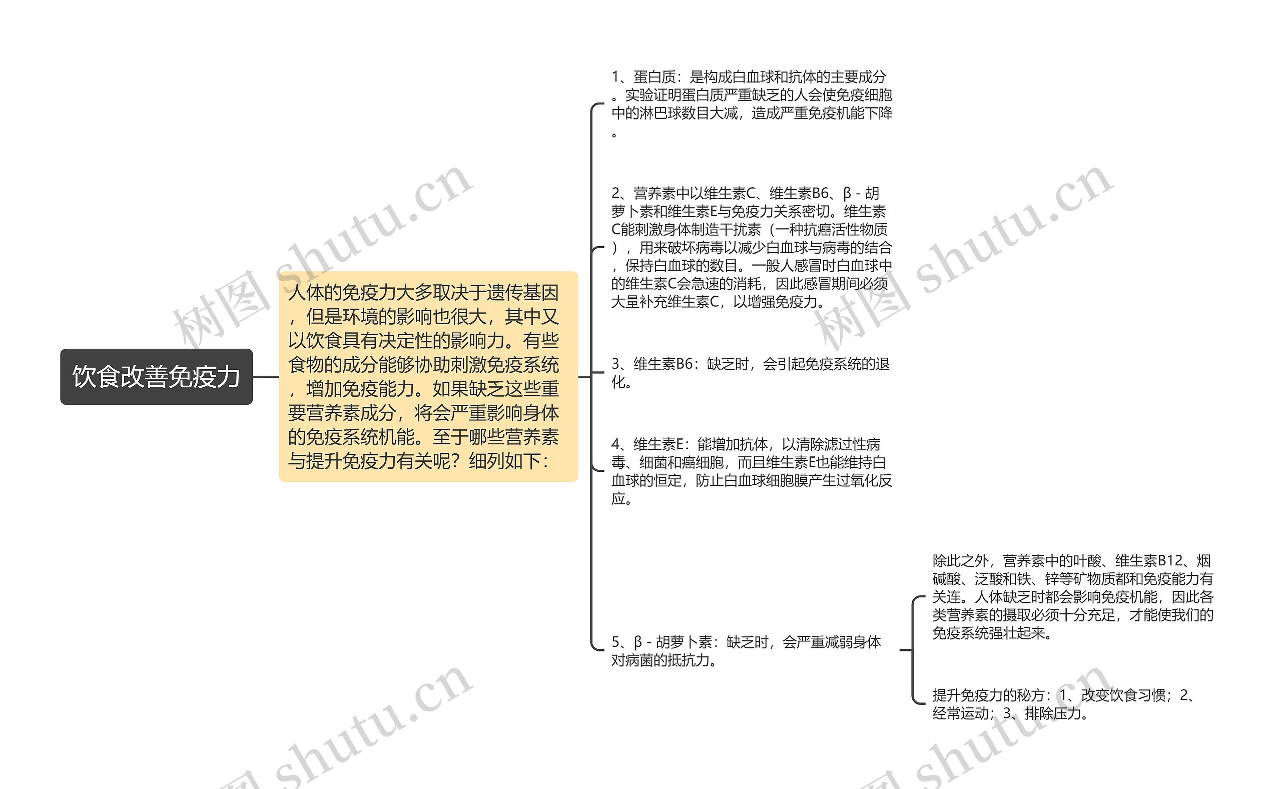 饮食改善免疫力思维导图