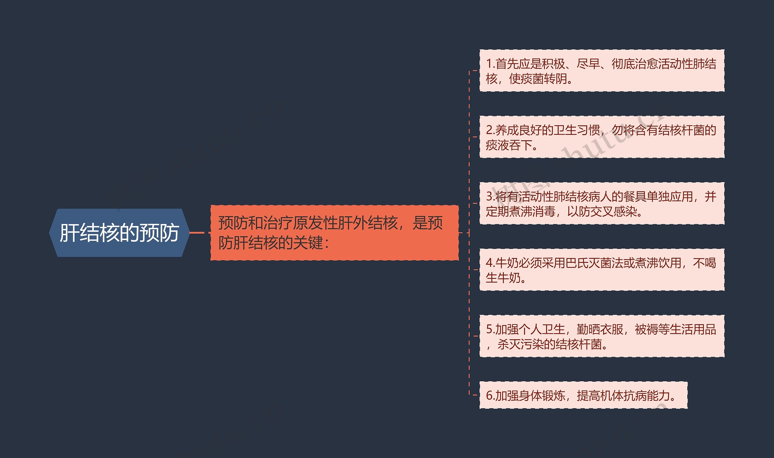 肝结核的预防 肝结核的预防